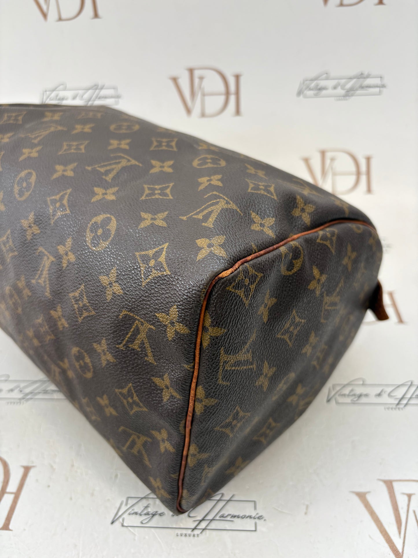 018744 - Louis Vuitton Speedy 30