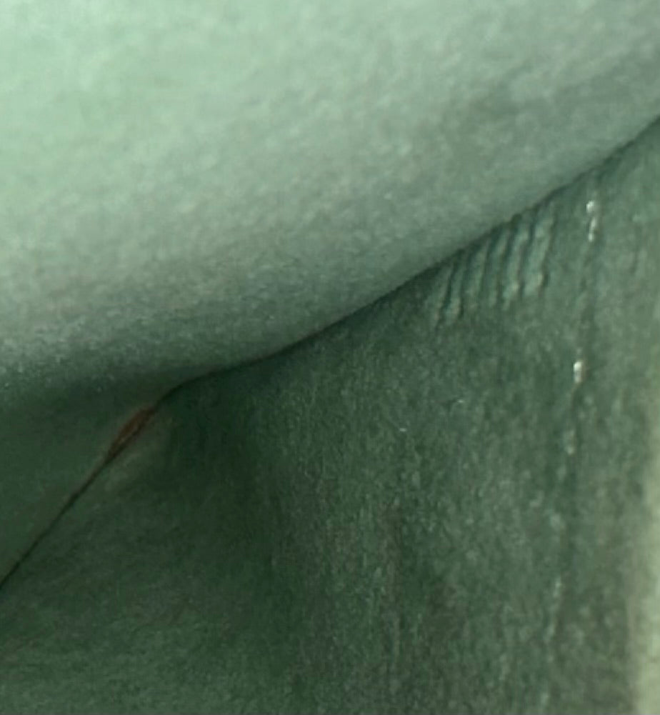 Louis Vuitton Alma Epi Green Vernis