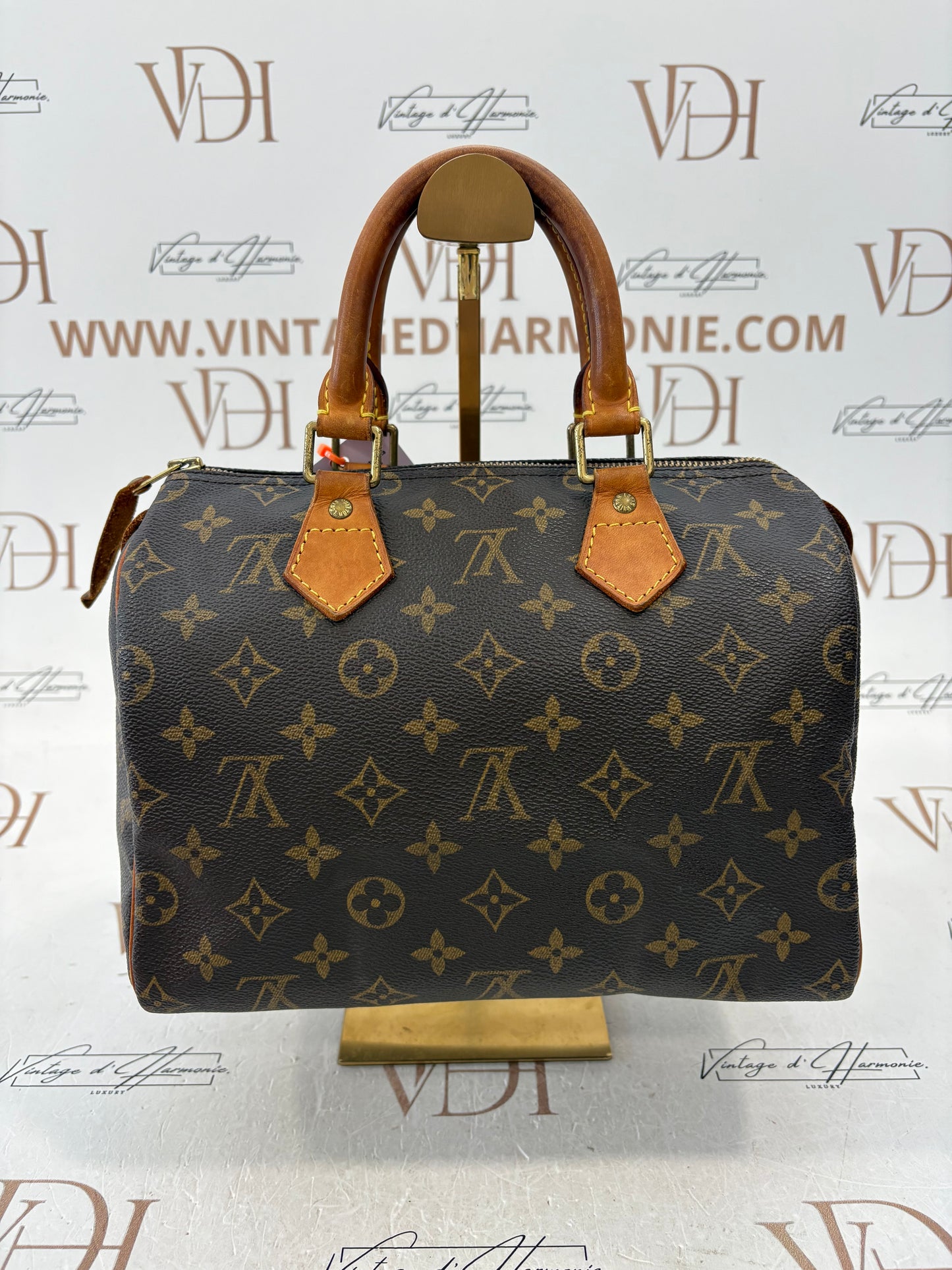 018245 - Louis Vuitton Speedy 25