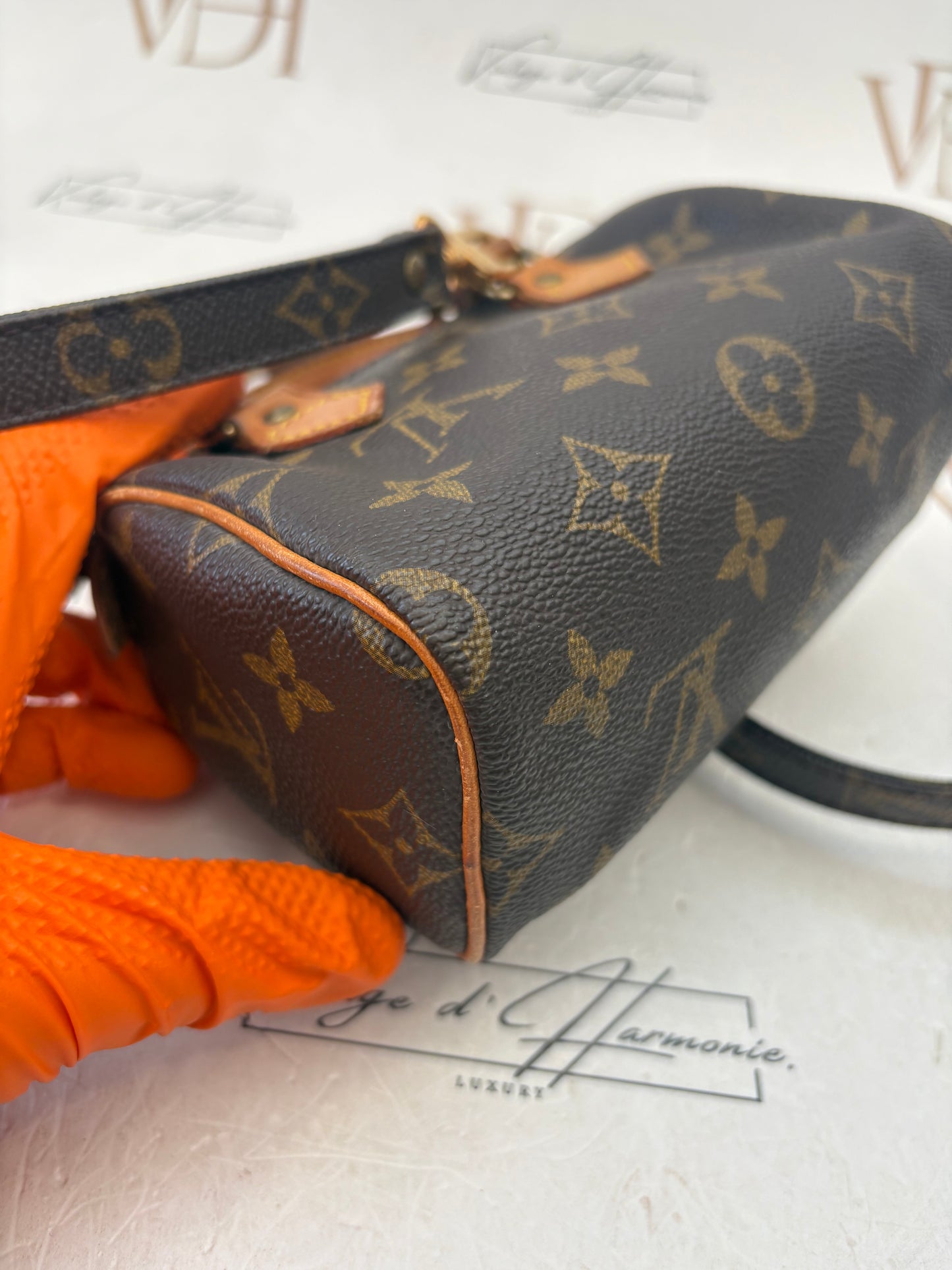018827 - Louis Vuitton Mini Speedy