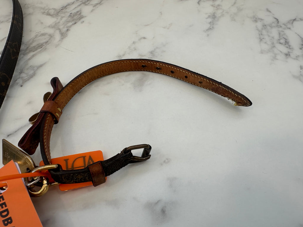 Louis Vuitton Collare+Guinzaglio