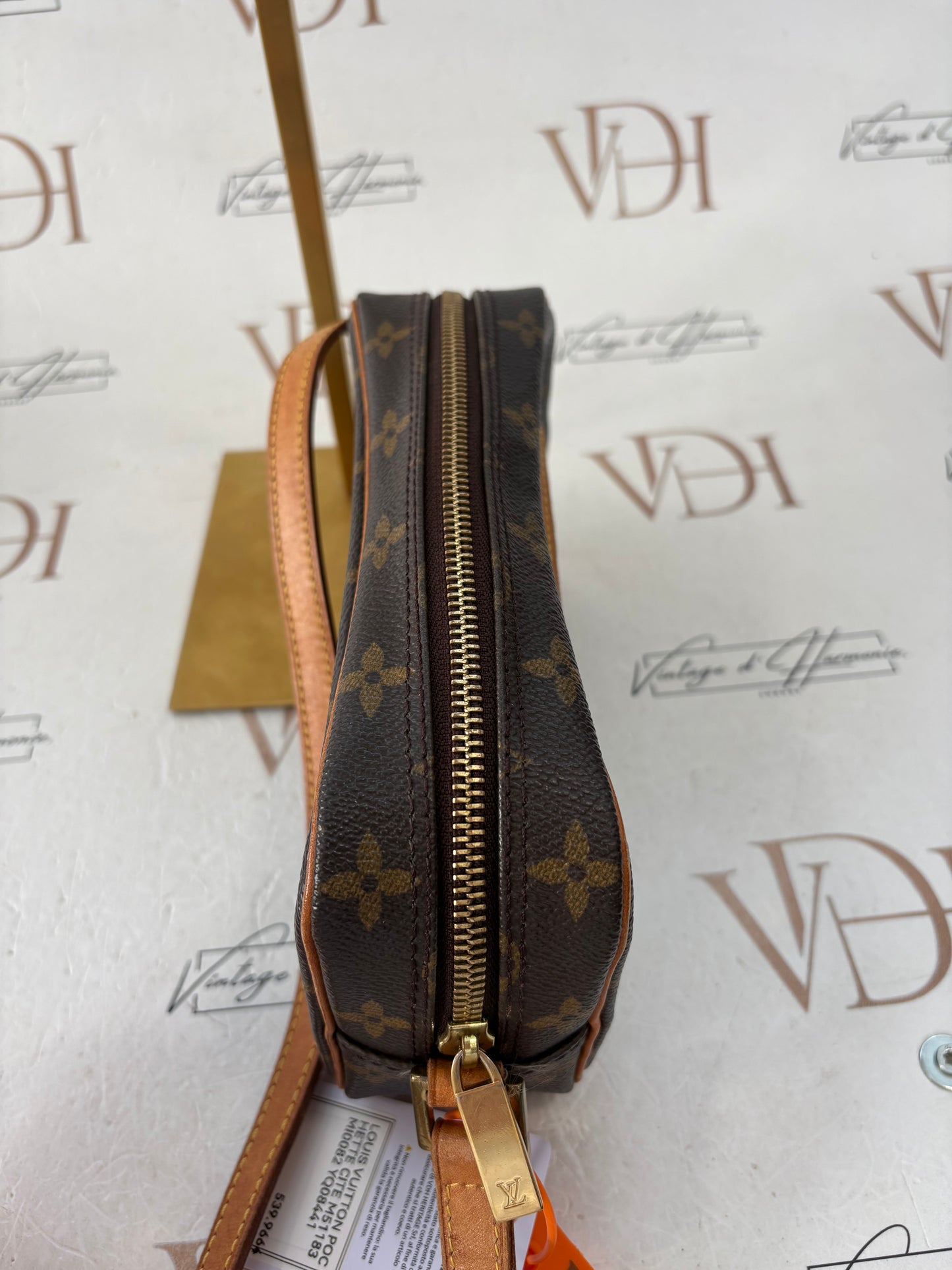 018526 - Louis Vuitton Pochette Cite