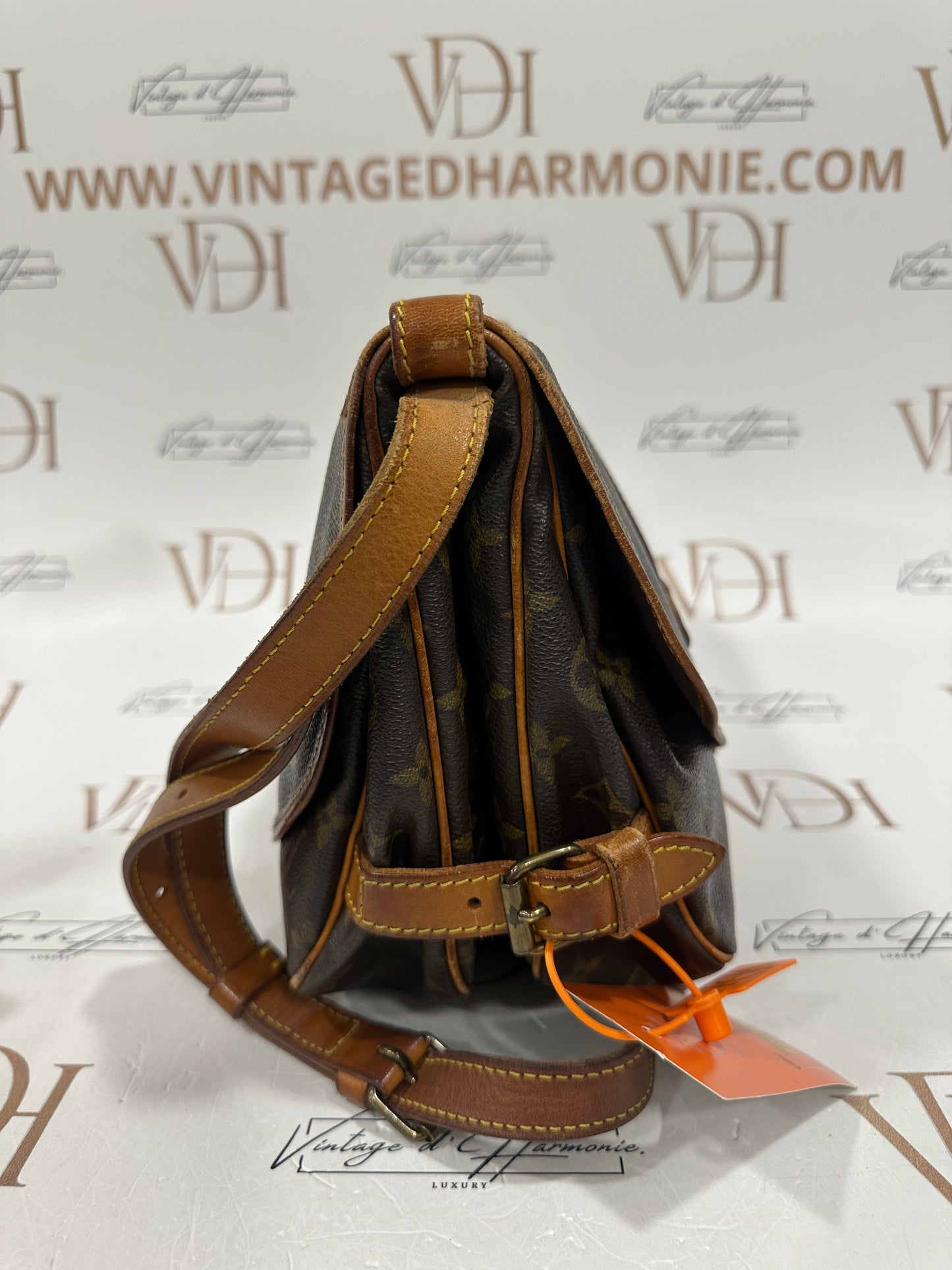 017874 - Louis Vuitton Saumur 30