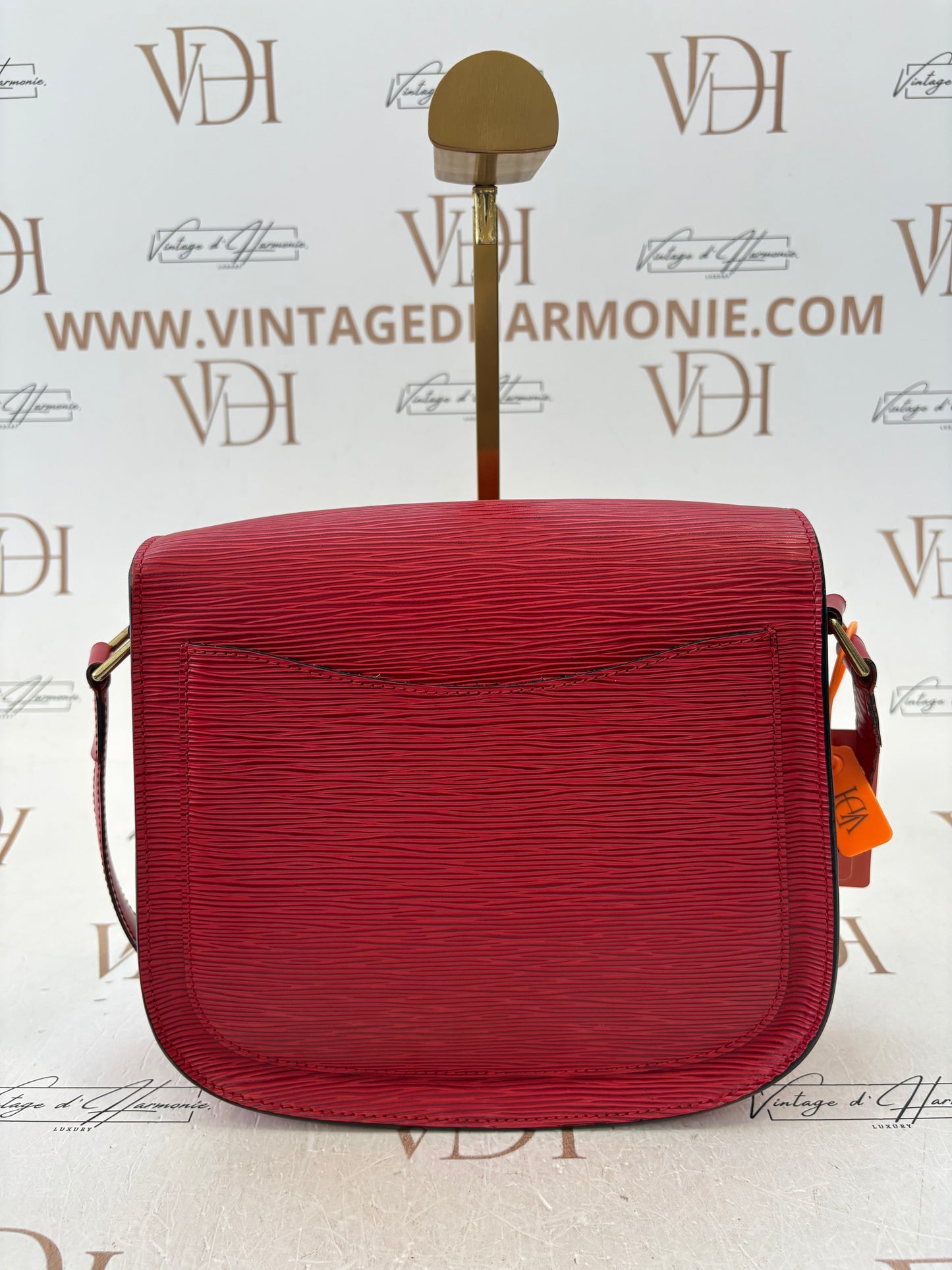 201111 - Louis Vuitton Saint Cloud GM