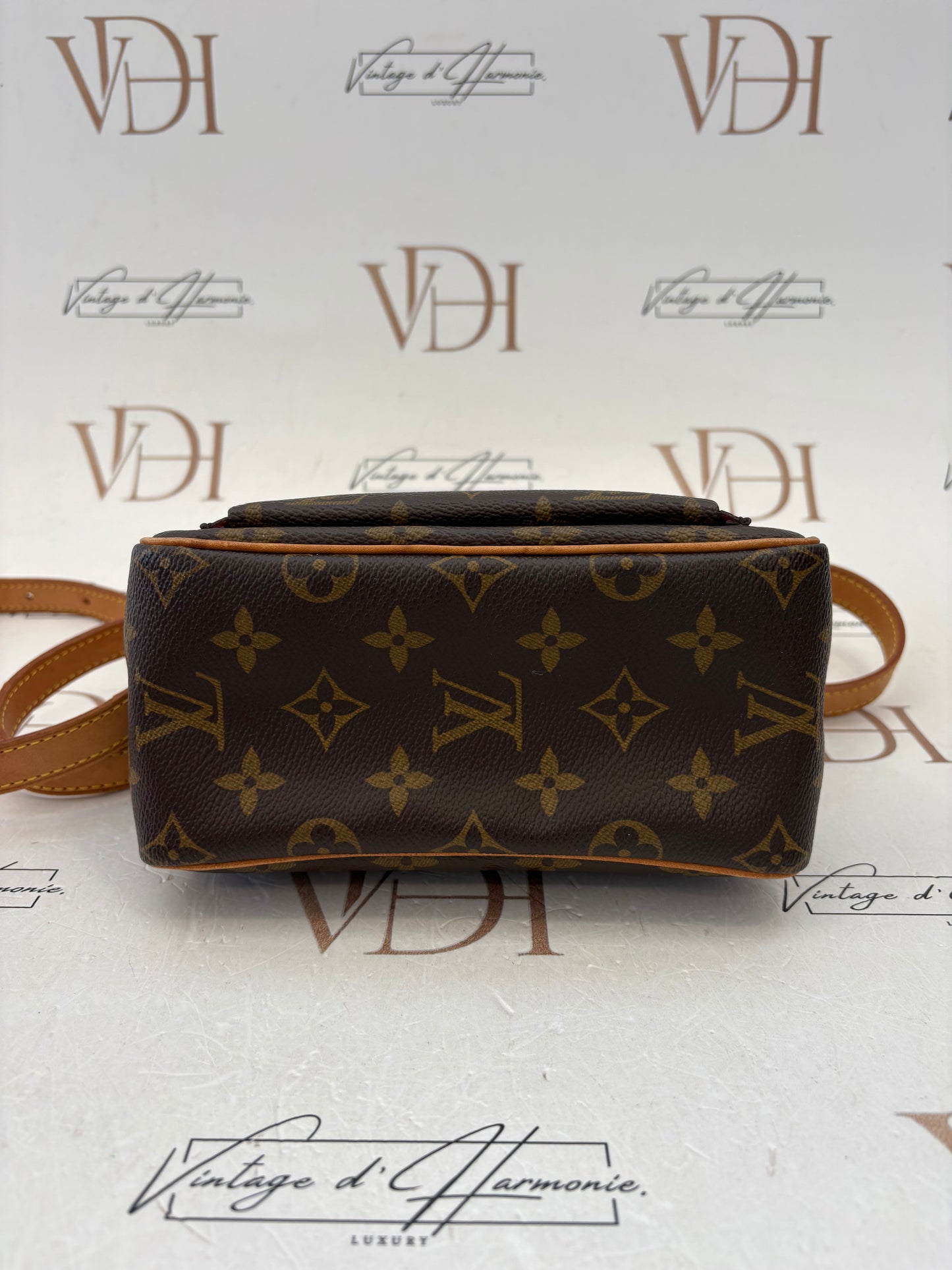 018872 - Louis Vuitton Viva Cite PM