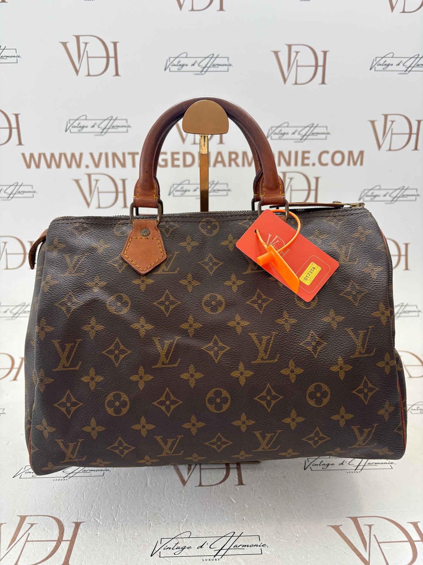 017314 - Louis Vuitton Speedy 30