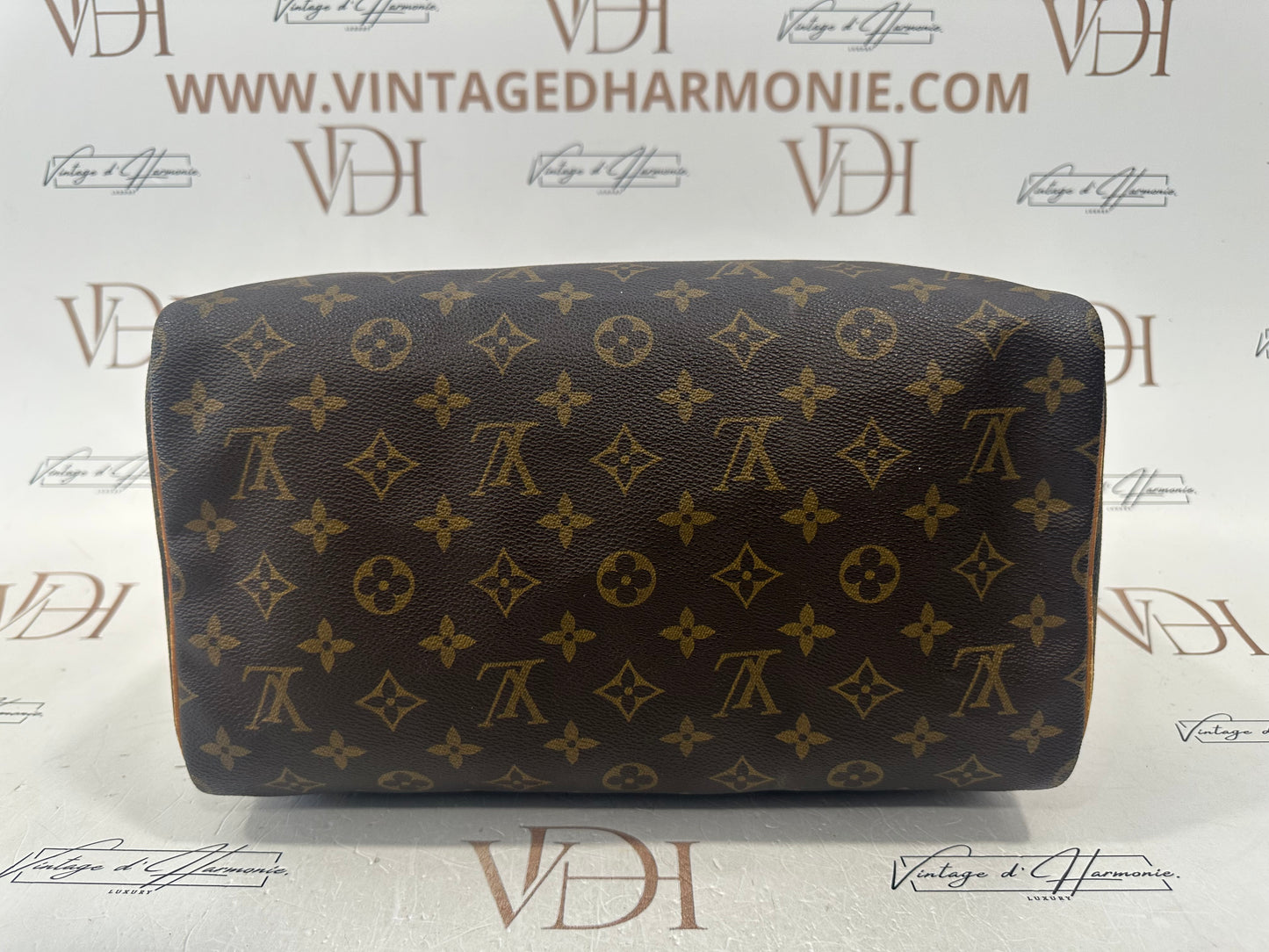 018723 - Louis Vuitton Speedy 30