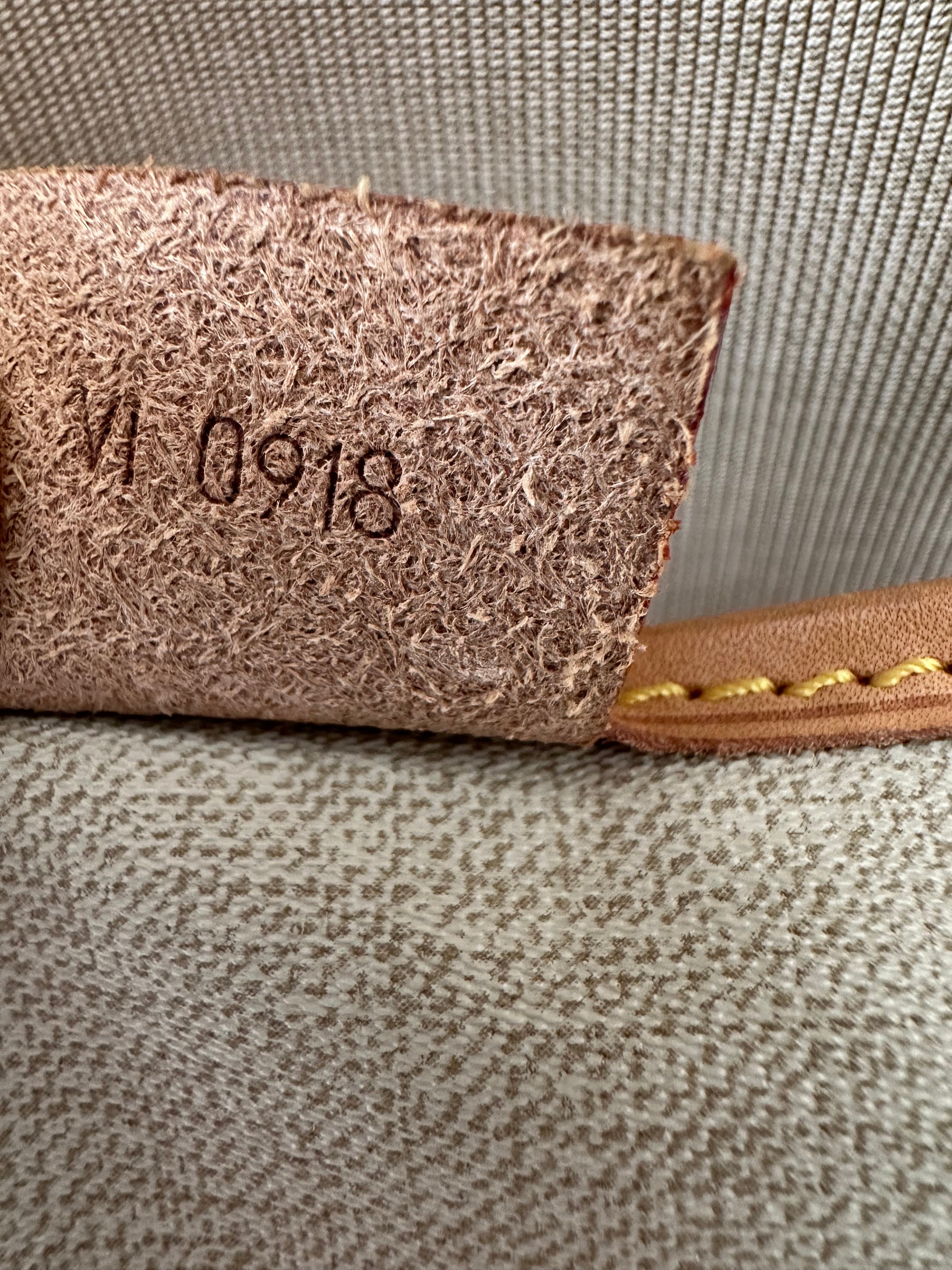 Louis Vuitton Excursion