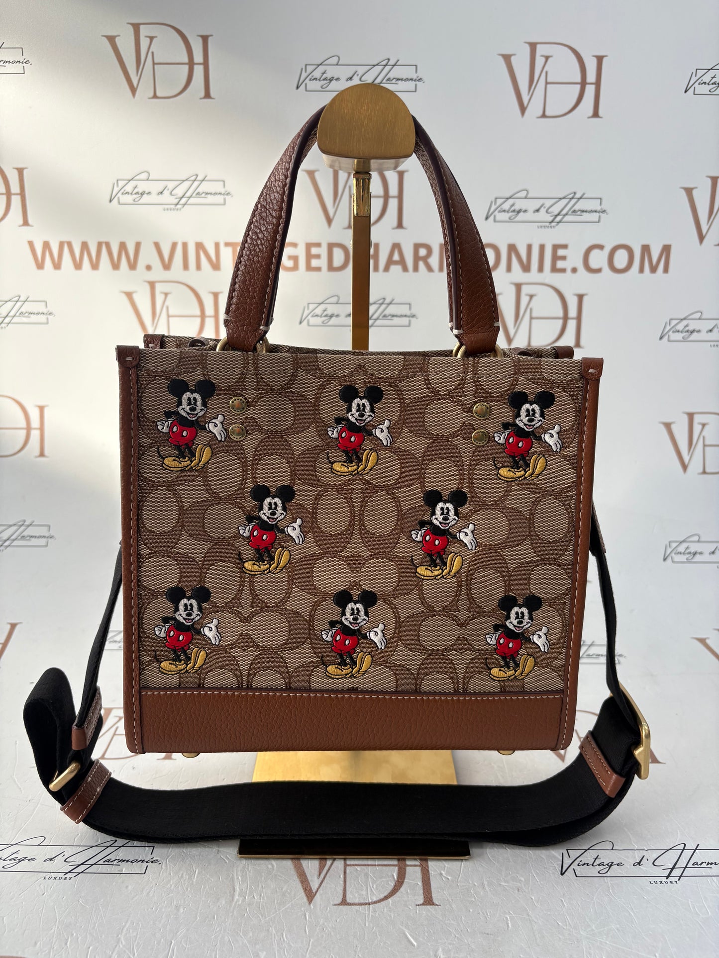 382695 - Coach Disney