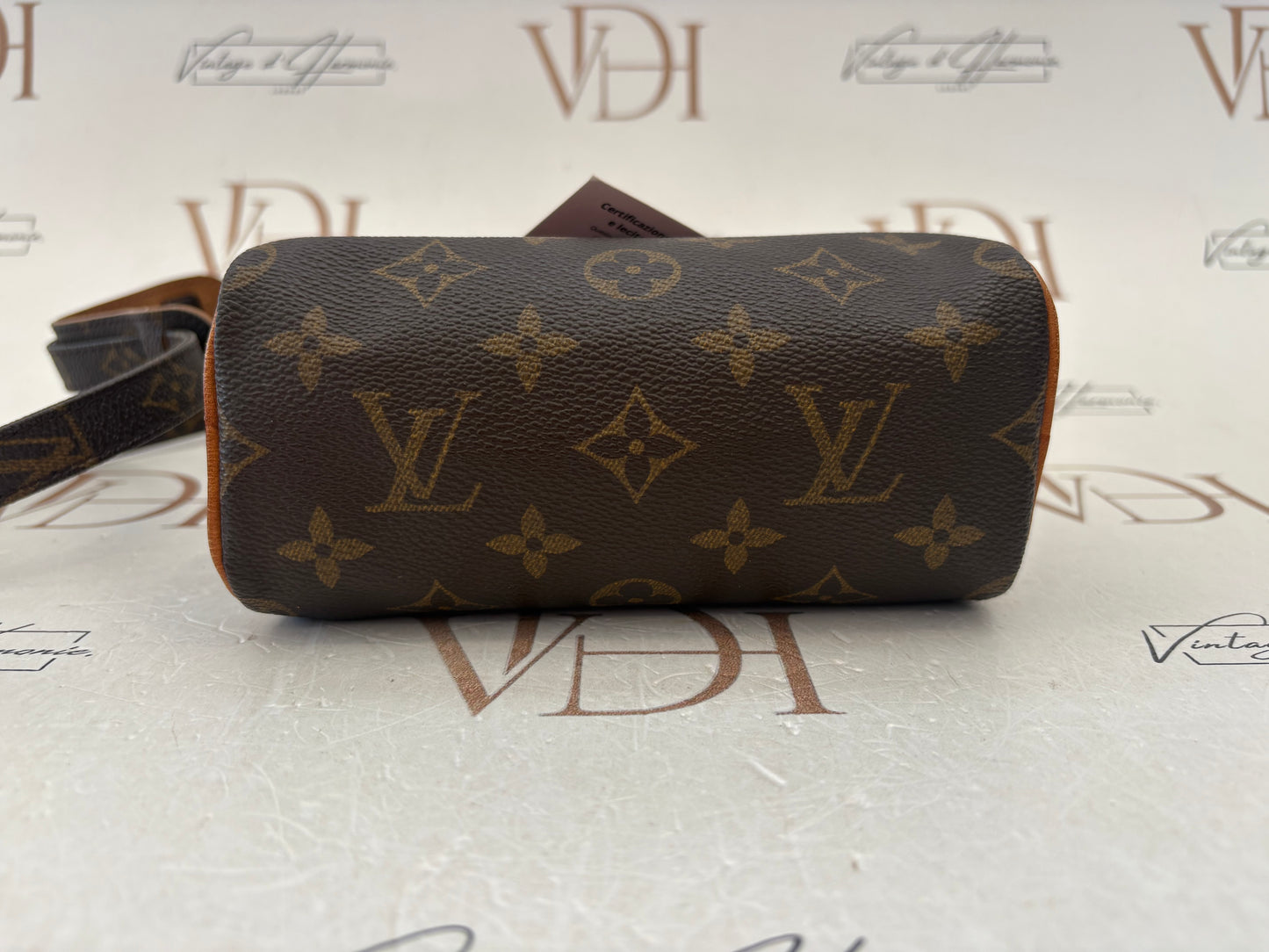 018827 - Louis Vuitton Mini Speedy