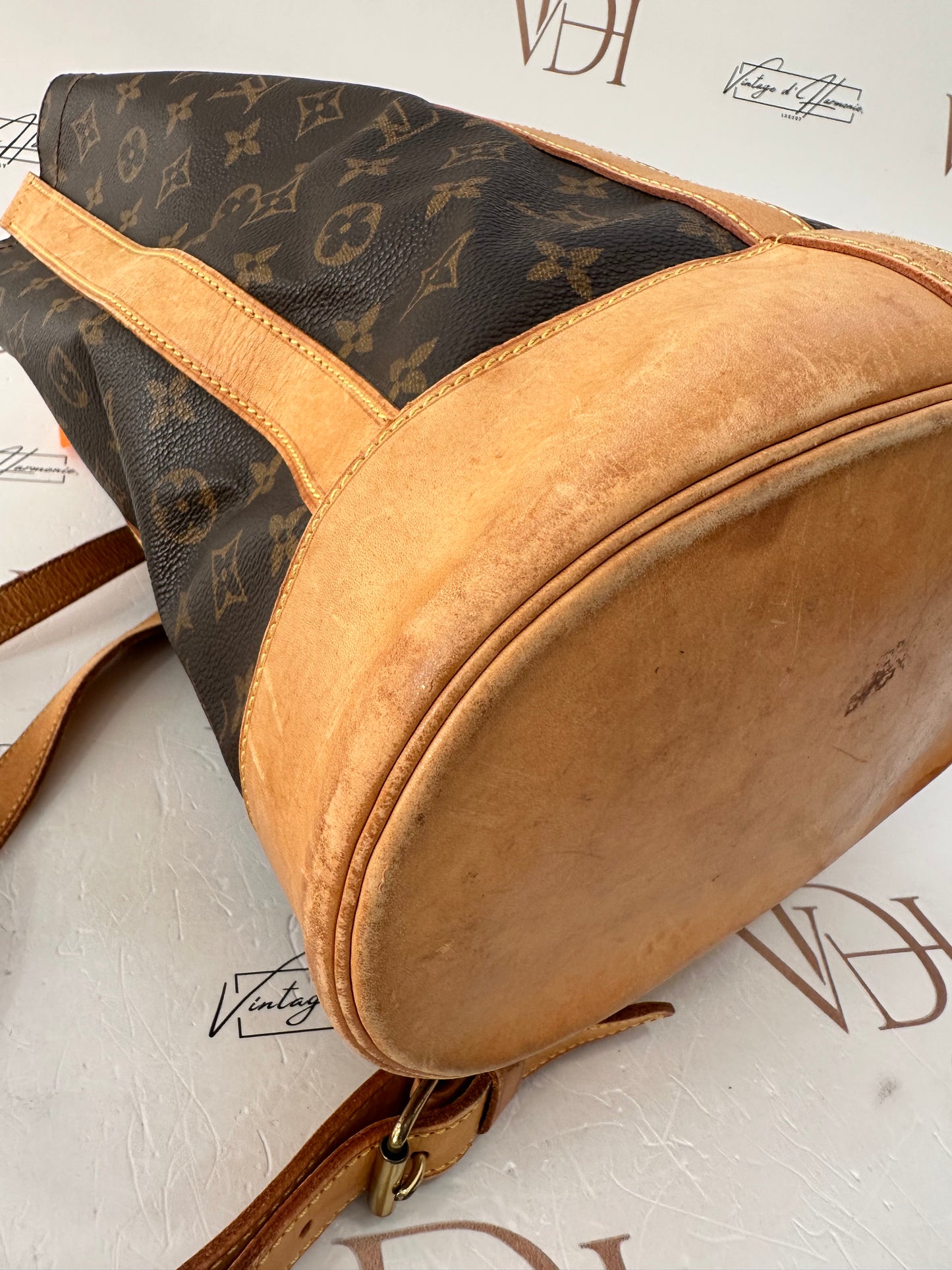 017806 - Louis Vuitton Randonne PM