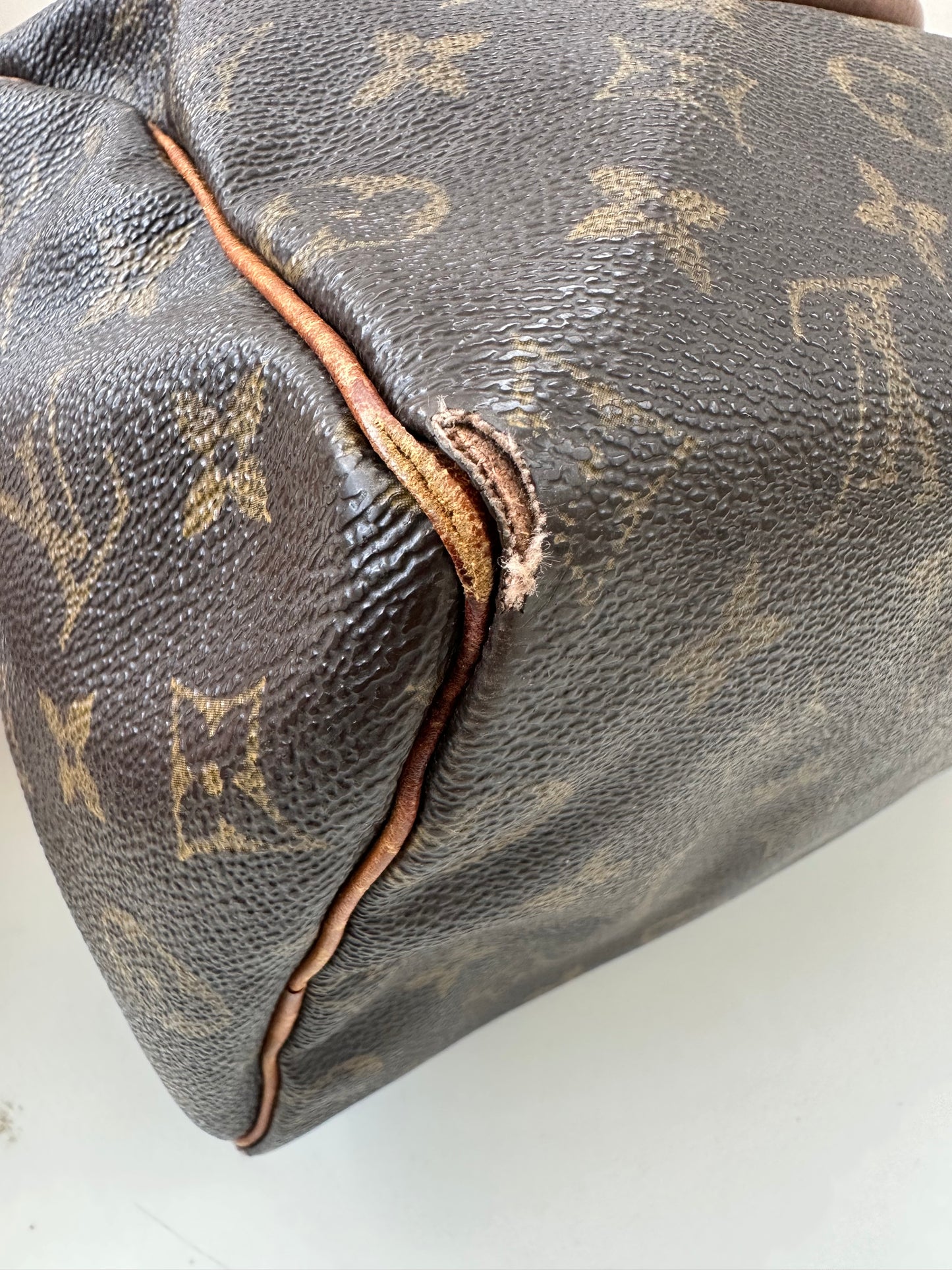 Louis Vuitton Speedy 25