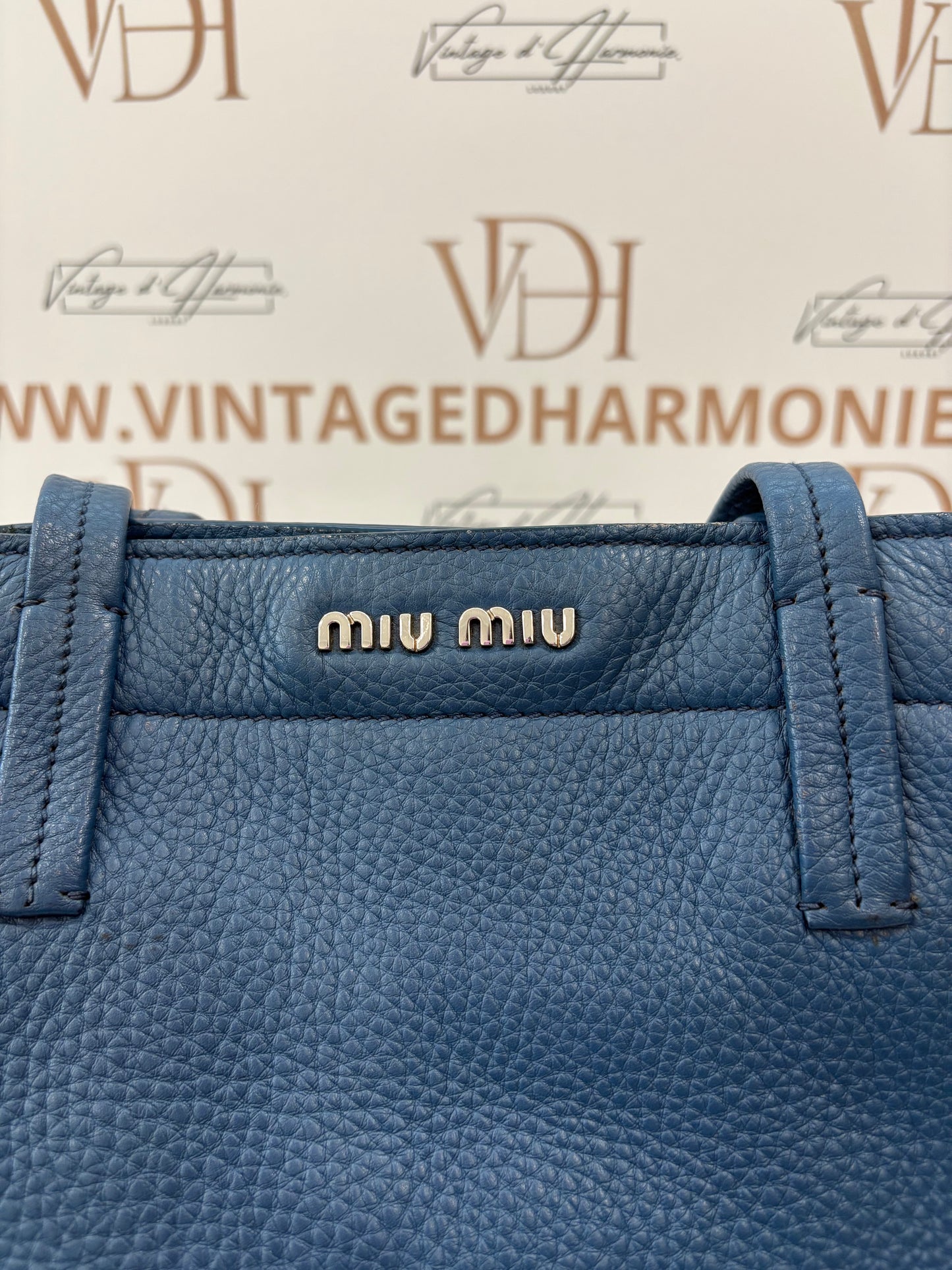 201038 - Miu Miu Blue