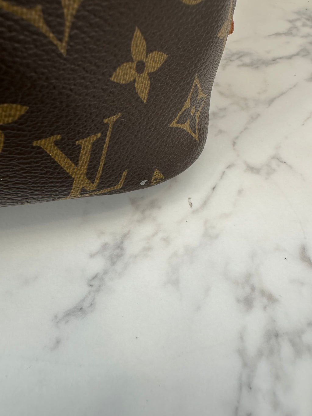 Louis Vuitton Neverfull MM Limited+Pochette
