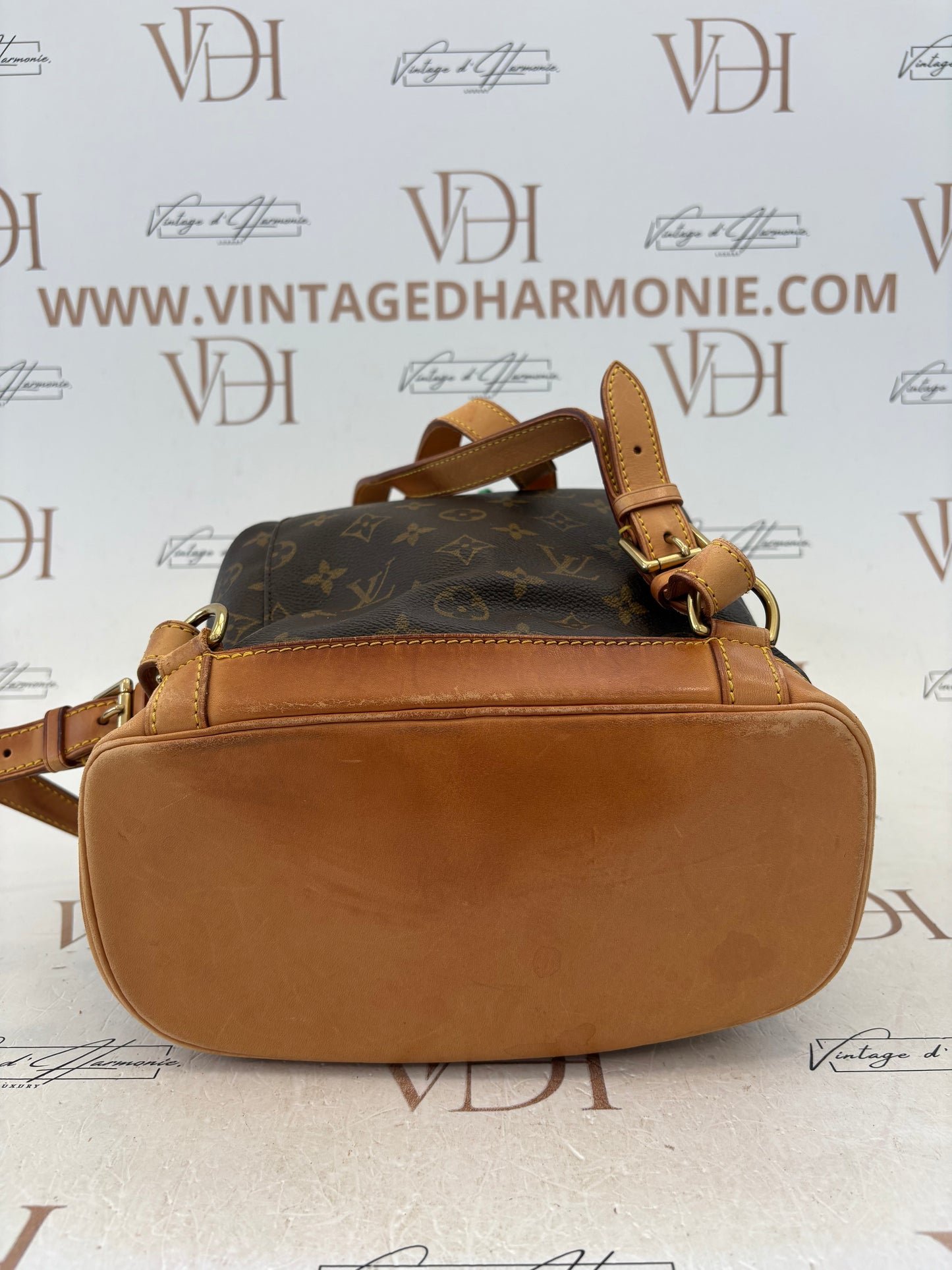 017177 - Louis Vuitton Montsouris MM