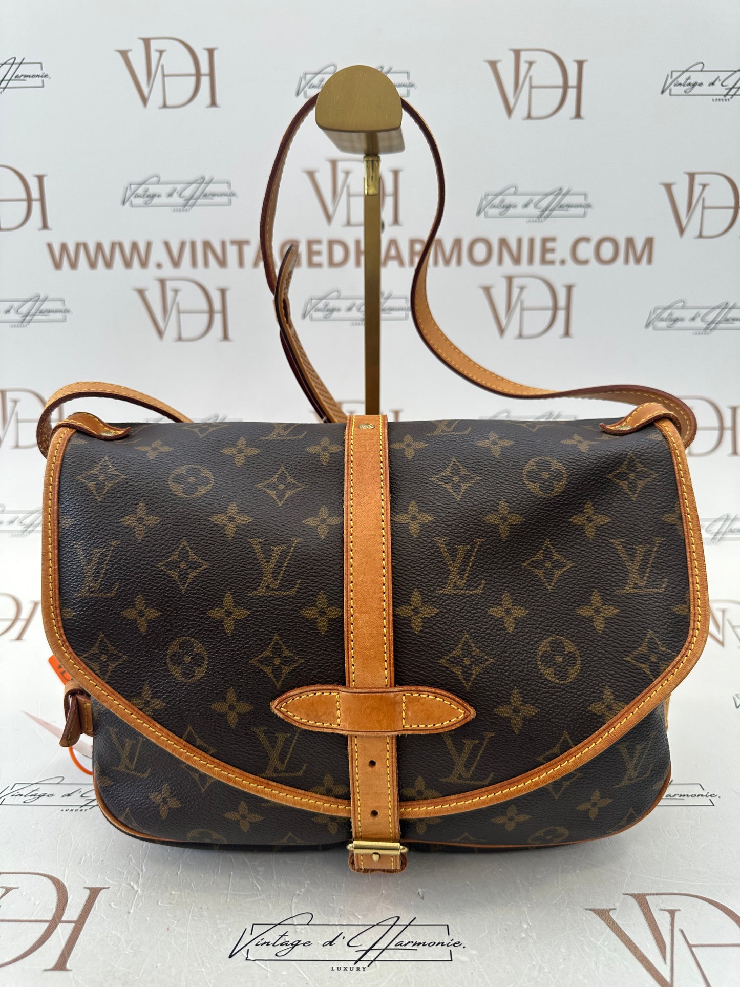 017887 - Louis Vuitton Saumur 30