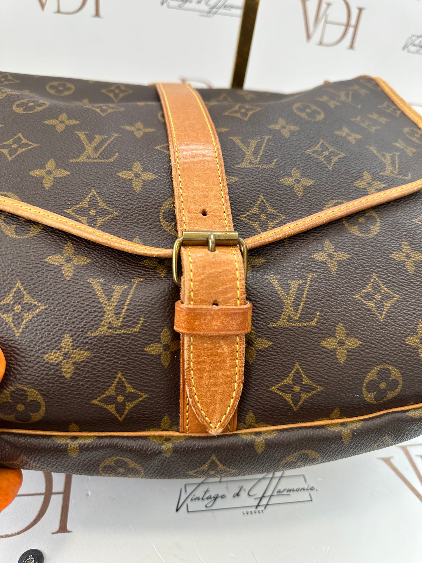 018125 - Louis Vuitton Saumur 35