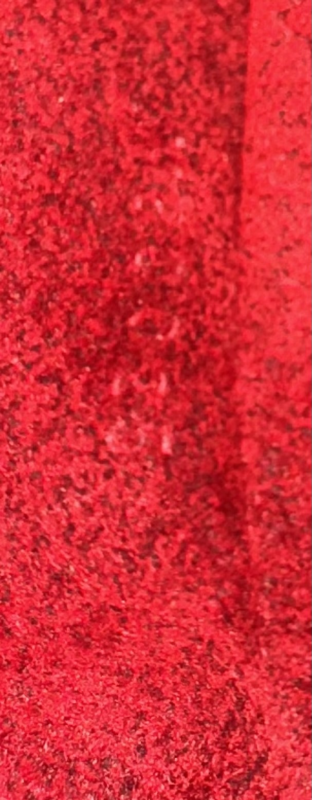 Louis Vuitton Exanthri cite