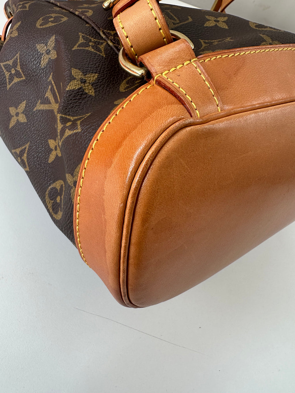 Louis Vuitton Montsouris MM