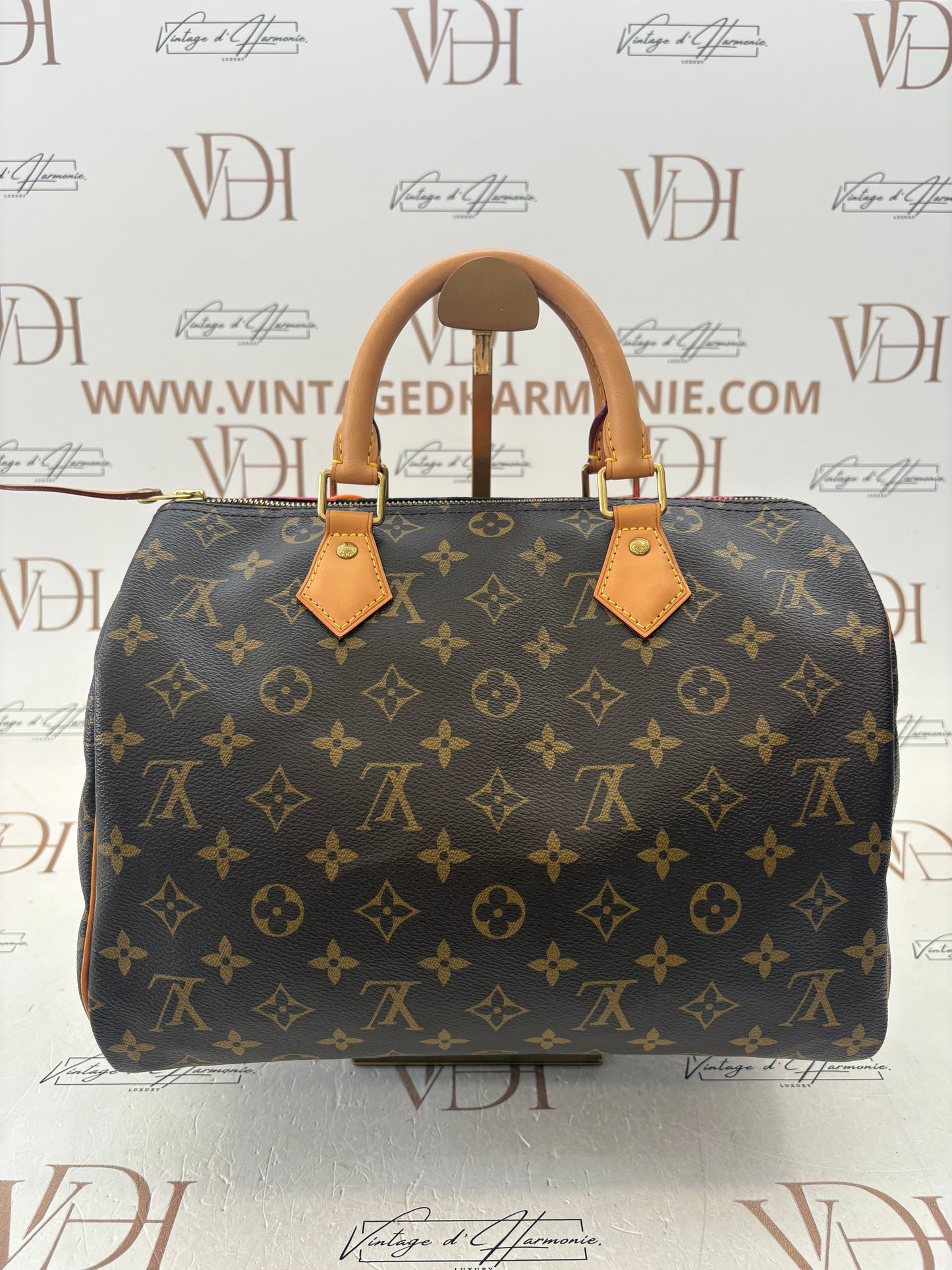 384207 - Louis Vuitton Speedy 30