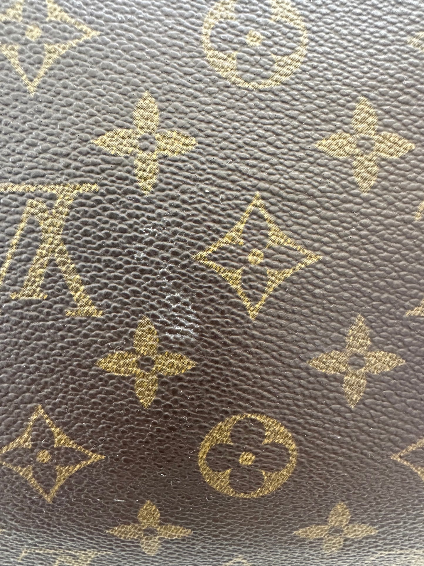 Louis Vuitton Speedy 35