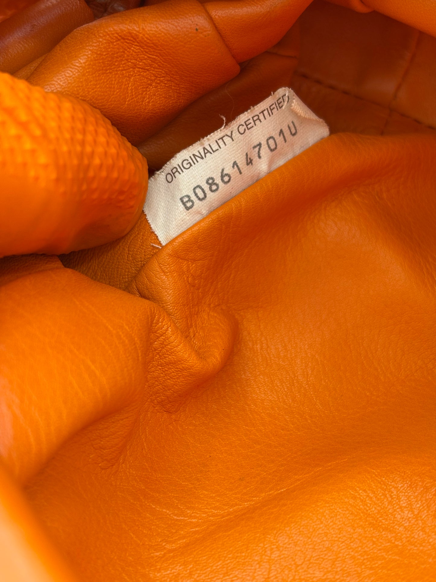383752 - Bottega Veneta The Pouch