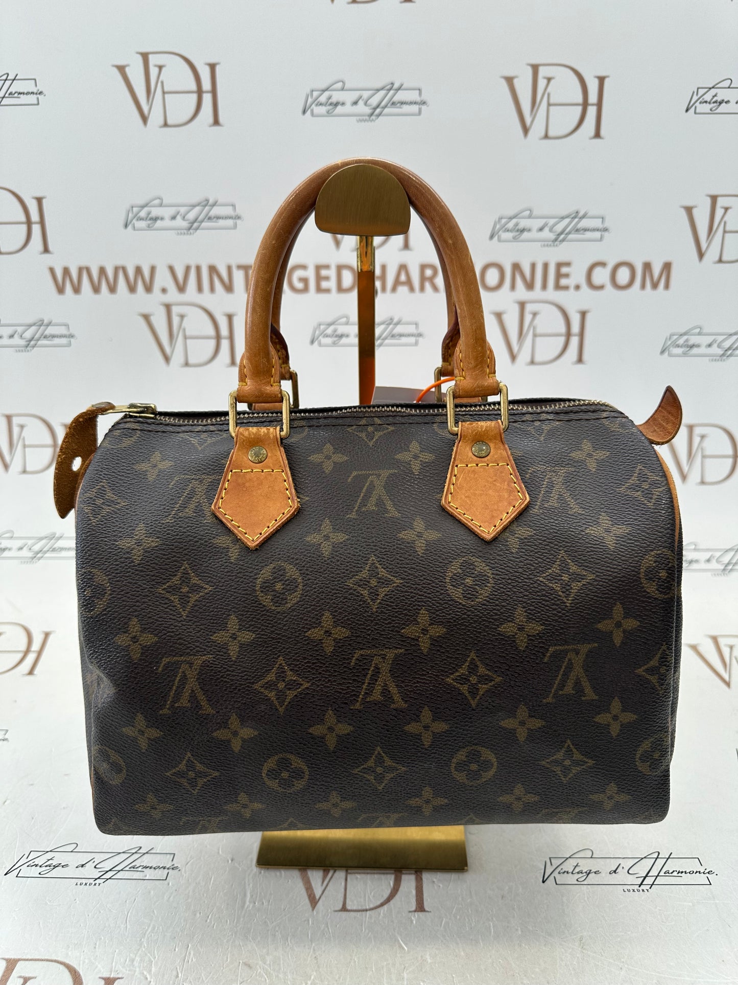 018751 - Louis Vuitton Speedy 25