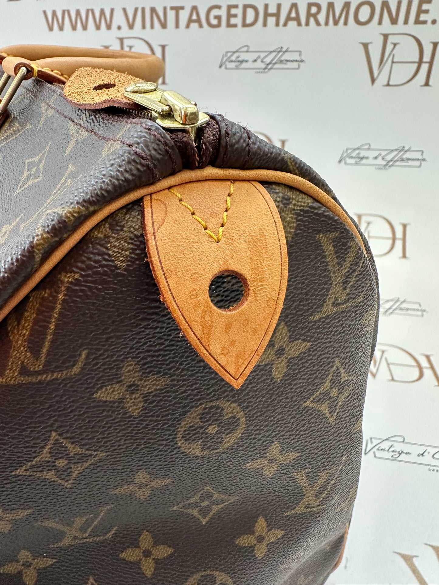 017920 - Louis Vuitton Speedy 40