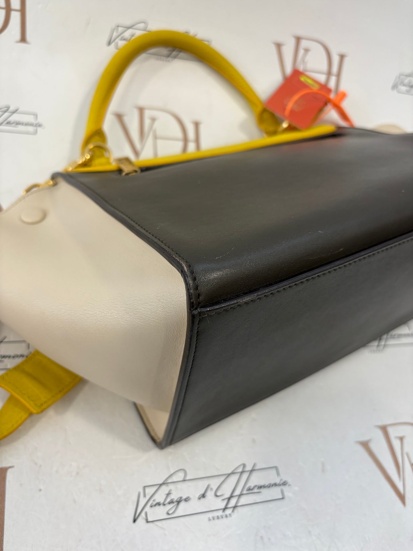 383728 - Céline Trapeze