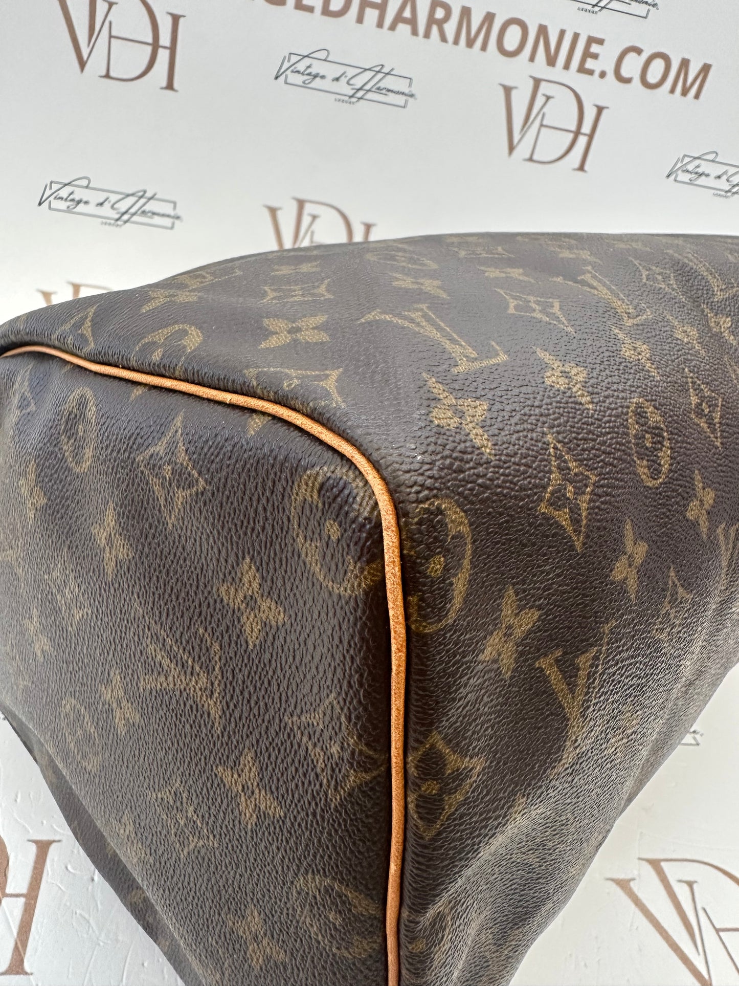 017930 - Louis Vuitton Speedy 40