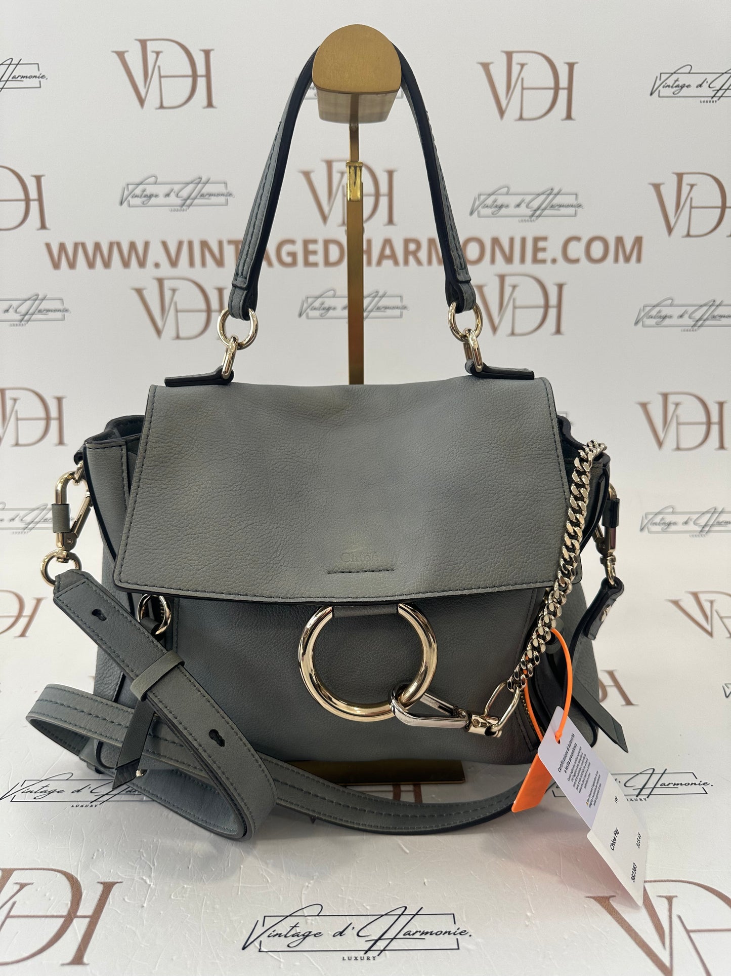 382383 - Chloe Fay