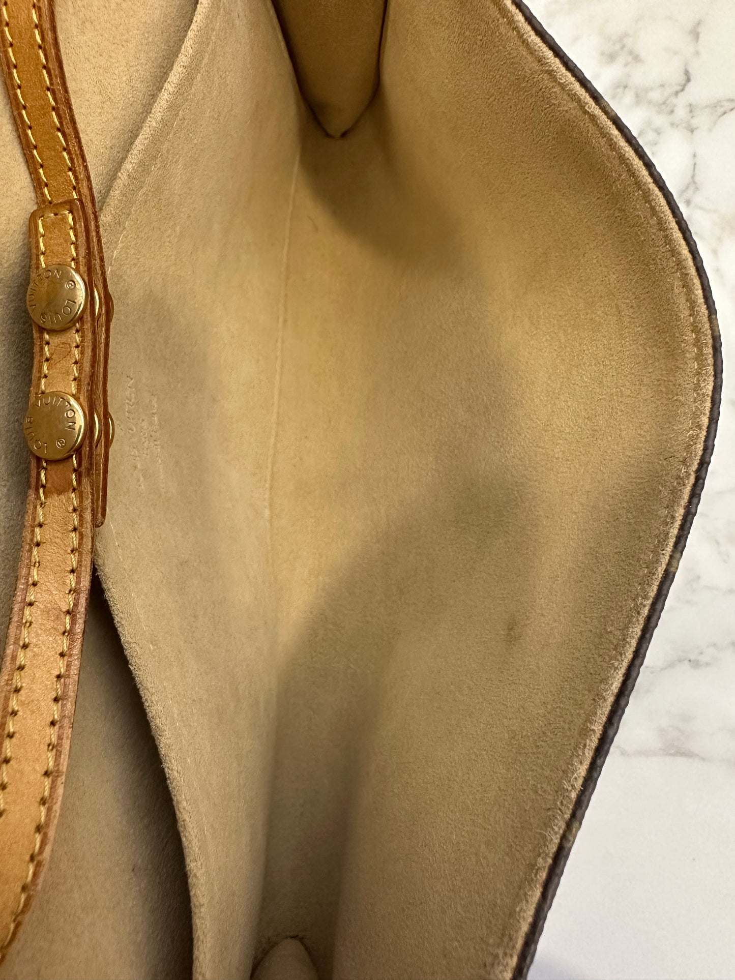 Louis Vuitton Pochette Twin GM