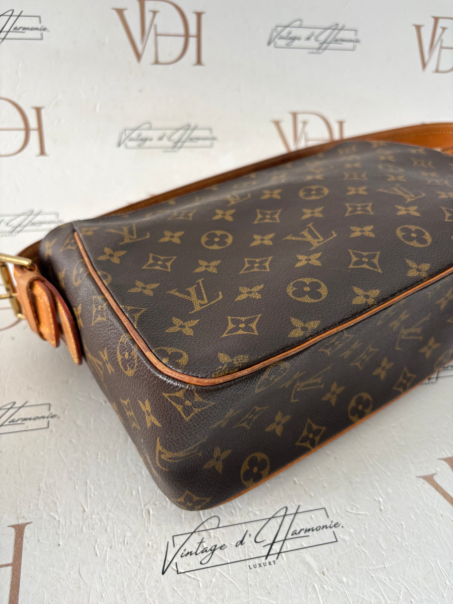017318 - Louis Vuitton Viva Cite GM