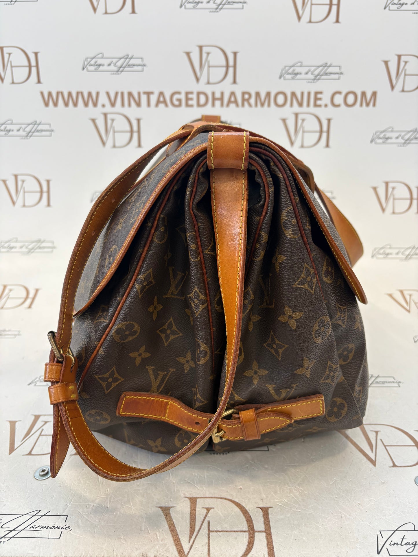 018589 - Louis Vuitton Saumur 35