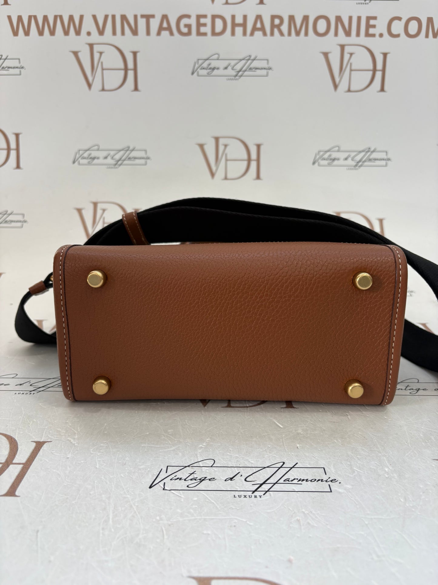 382695 - Coach Disney