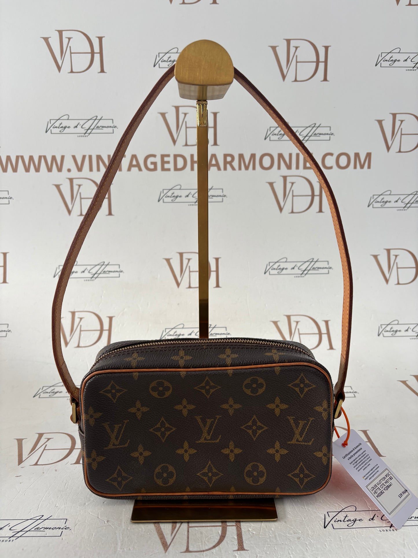 018526 - Louis Vuitton Pochette Cite