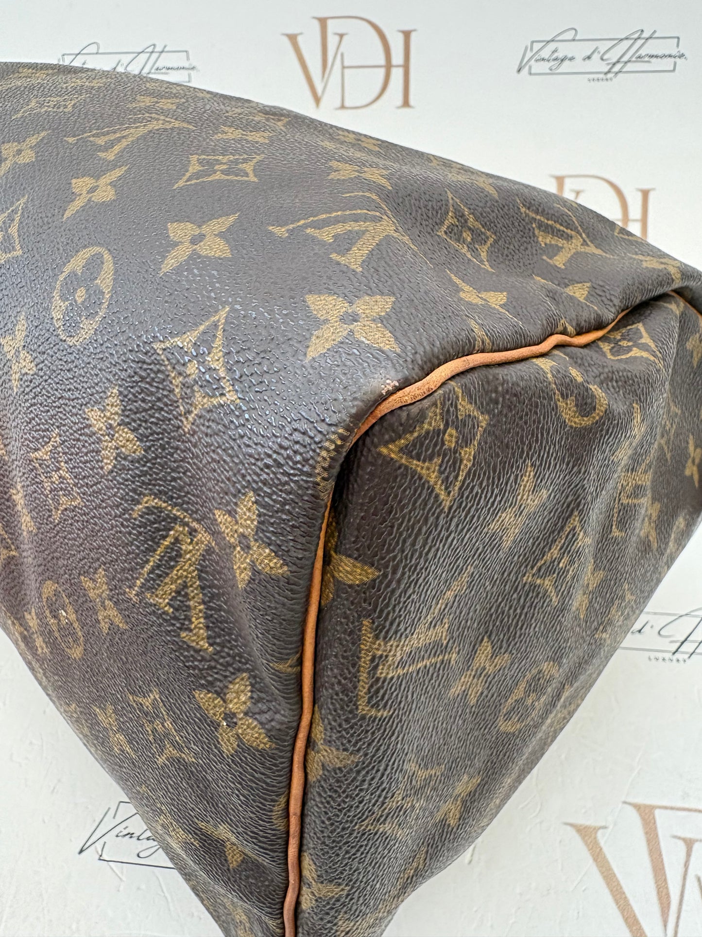 017653 - Louis Vuitton Speedy 30