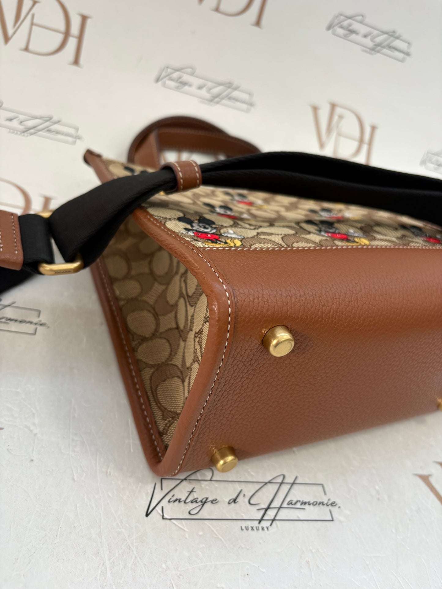 382695 - Coach Disney