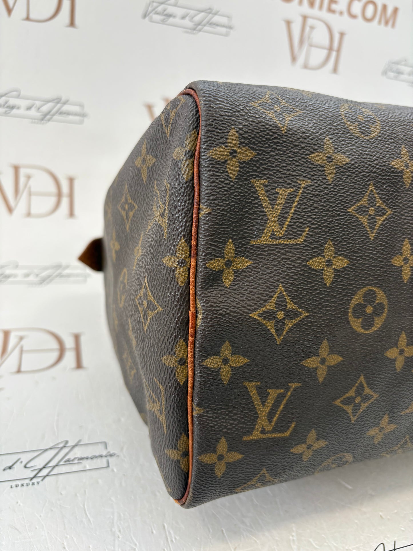 018744 - Louis Vuitton Speedy 30