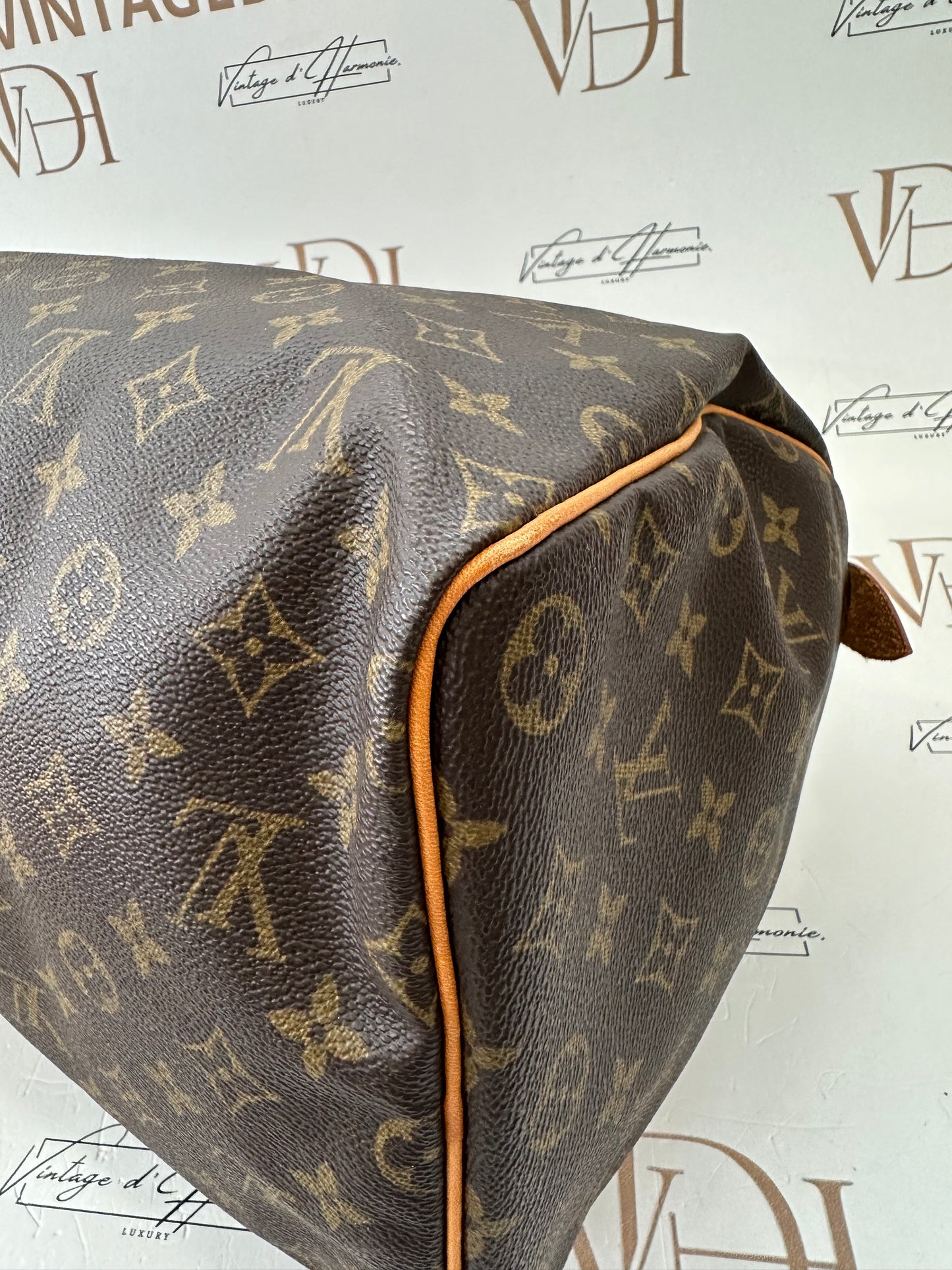 017920 - Louis Vuitton Speedy 40