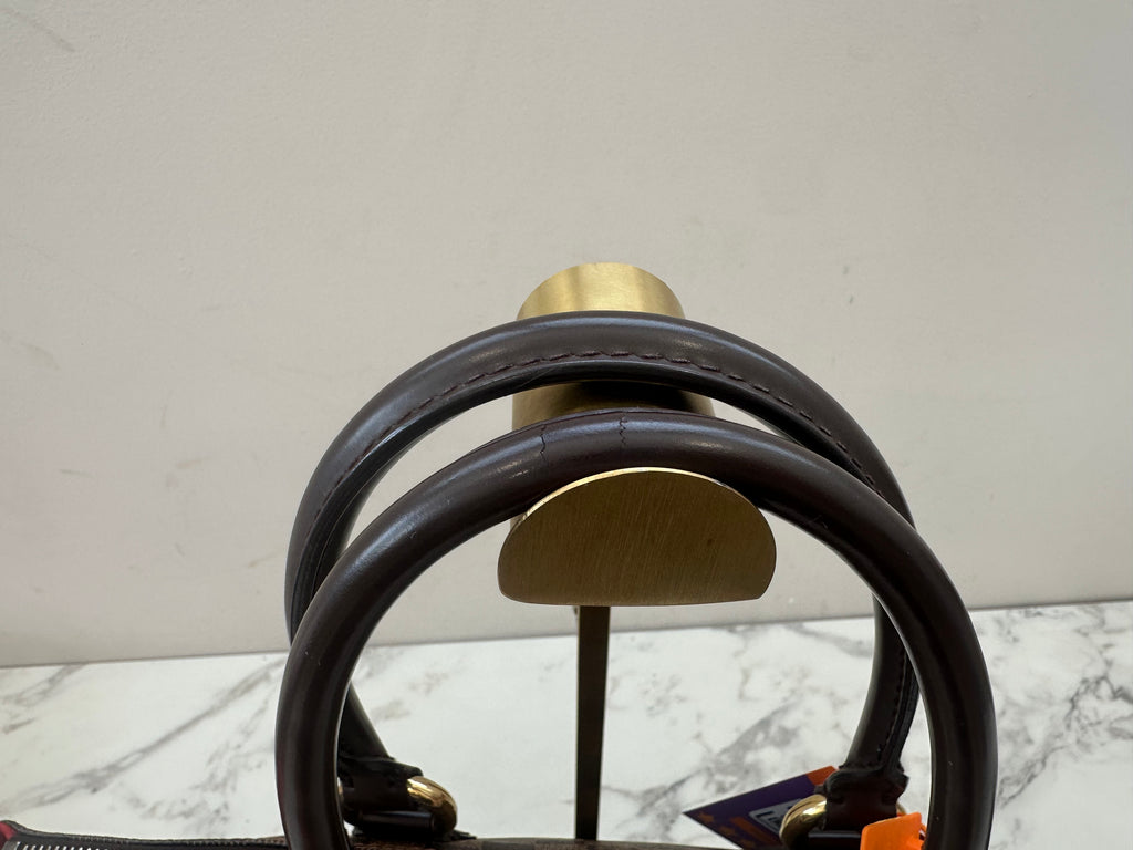 Louis Vuitton Damier Saleya PM