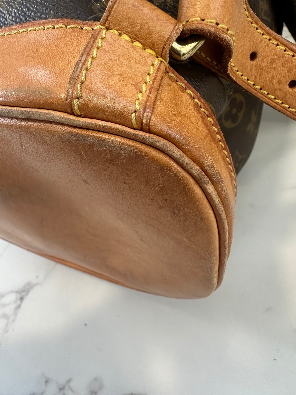 Louis Vuitton Montsouris GM