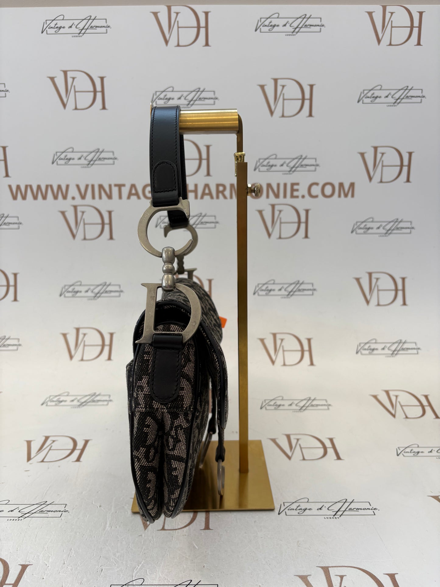 018199 - Dior Trotter Saddle