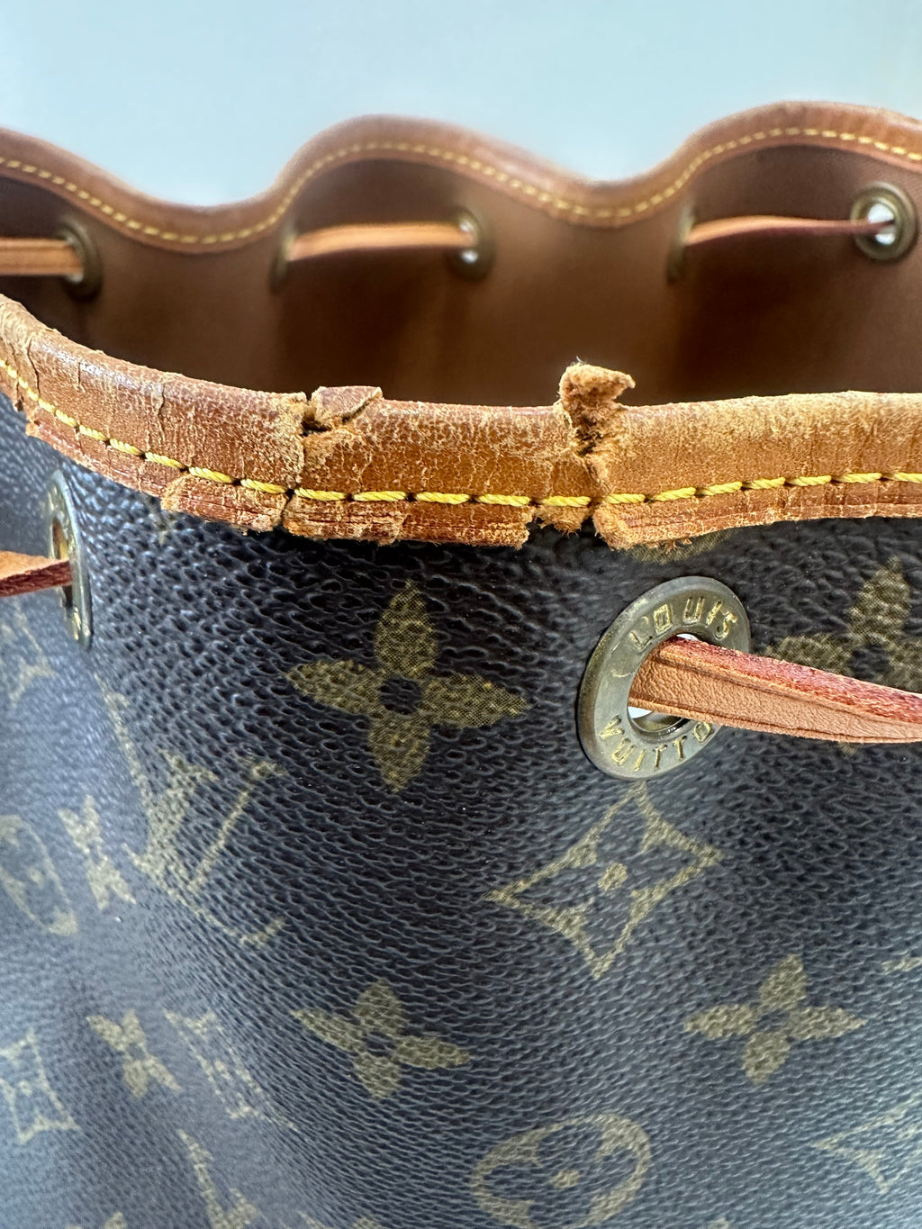 Louis Vuitton Petite Noé