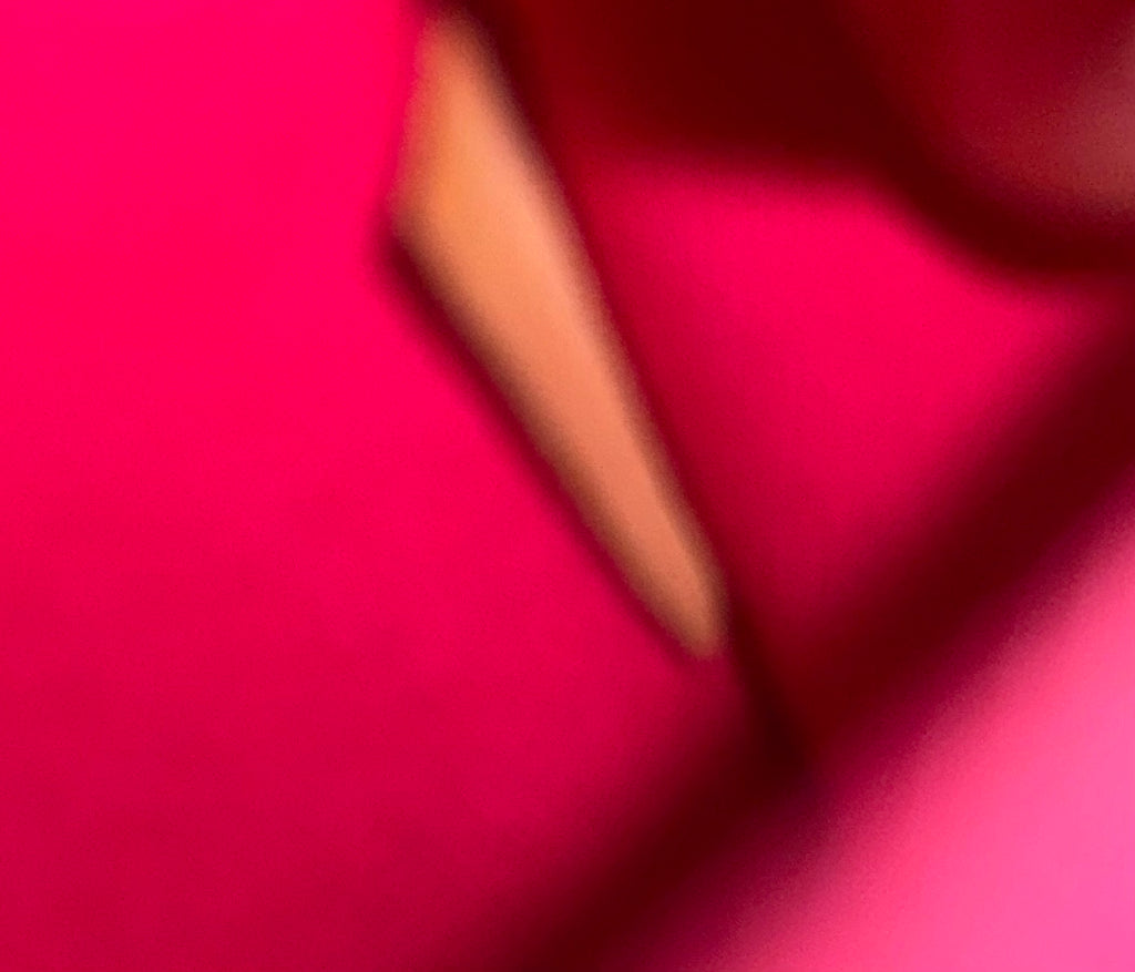 Louis Vuitton Alma Vernis Red