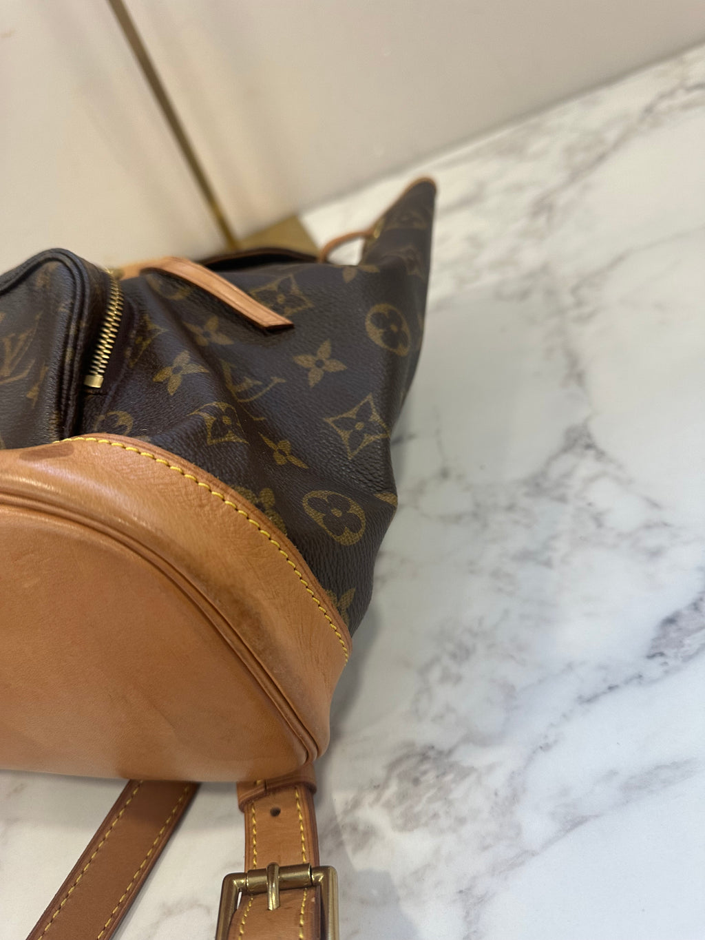 Louis Vuitton Montsouris MM