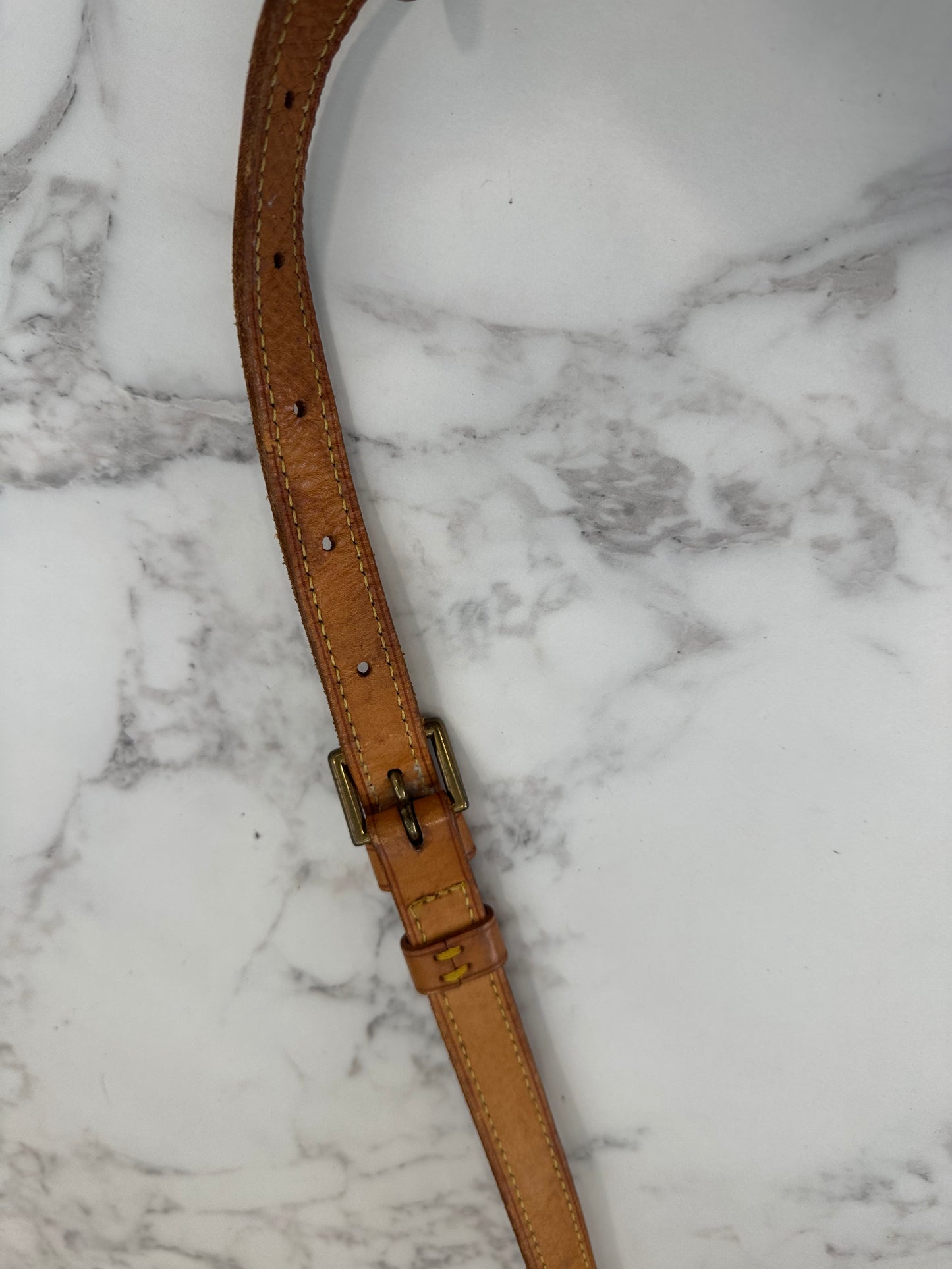 Louis Vuitton Saint Cloud GM