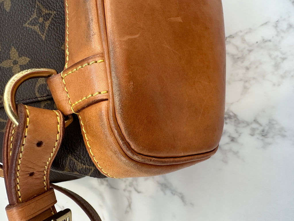 Louis Vuitton Montsouris MM