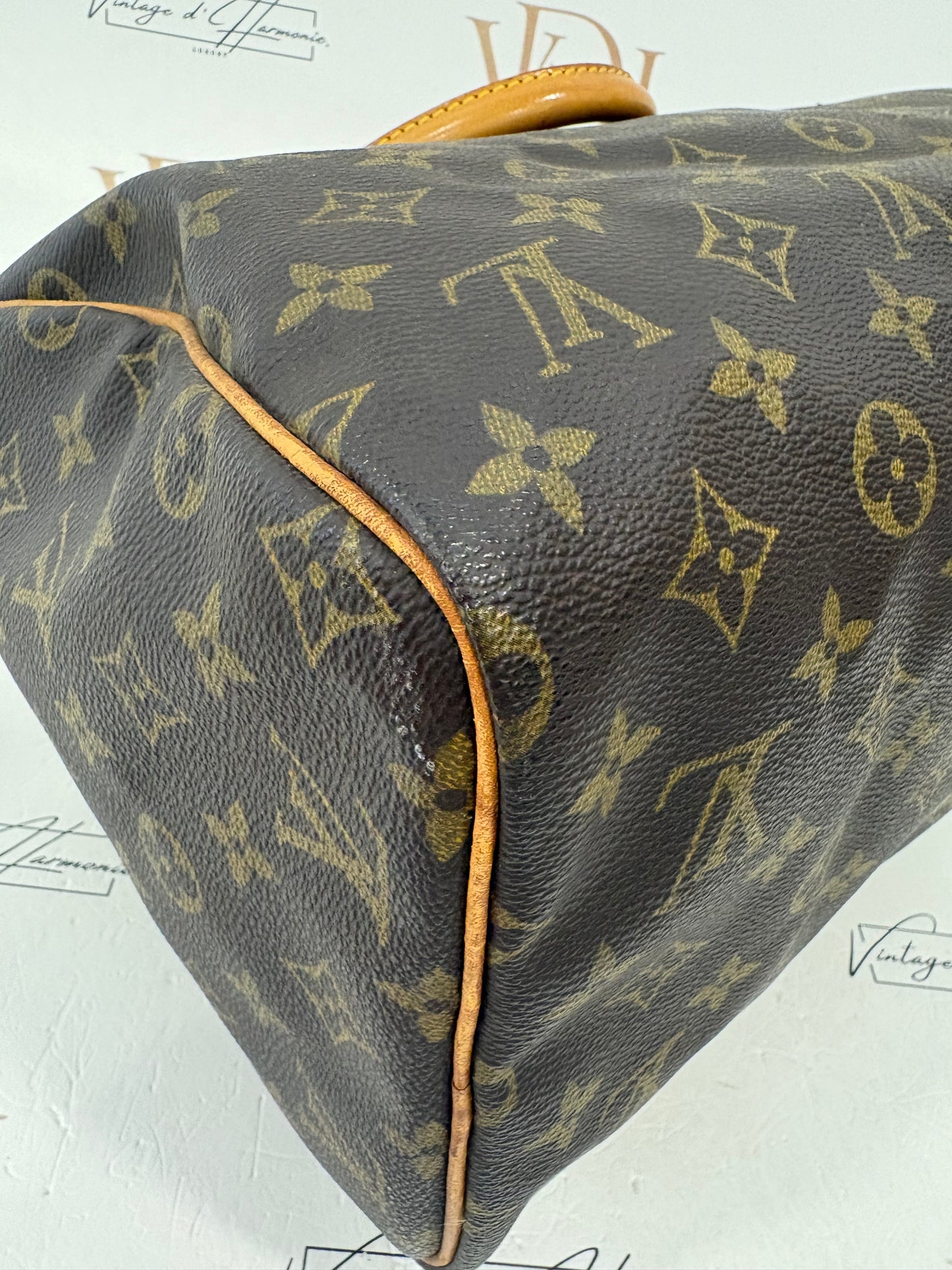 017646 - Louis Vuitton Speedy 30