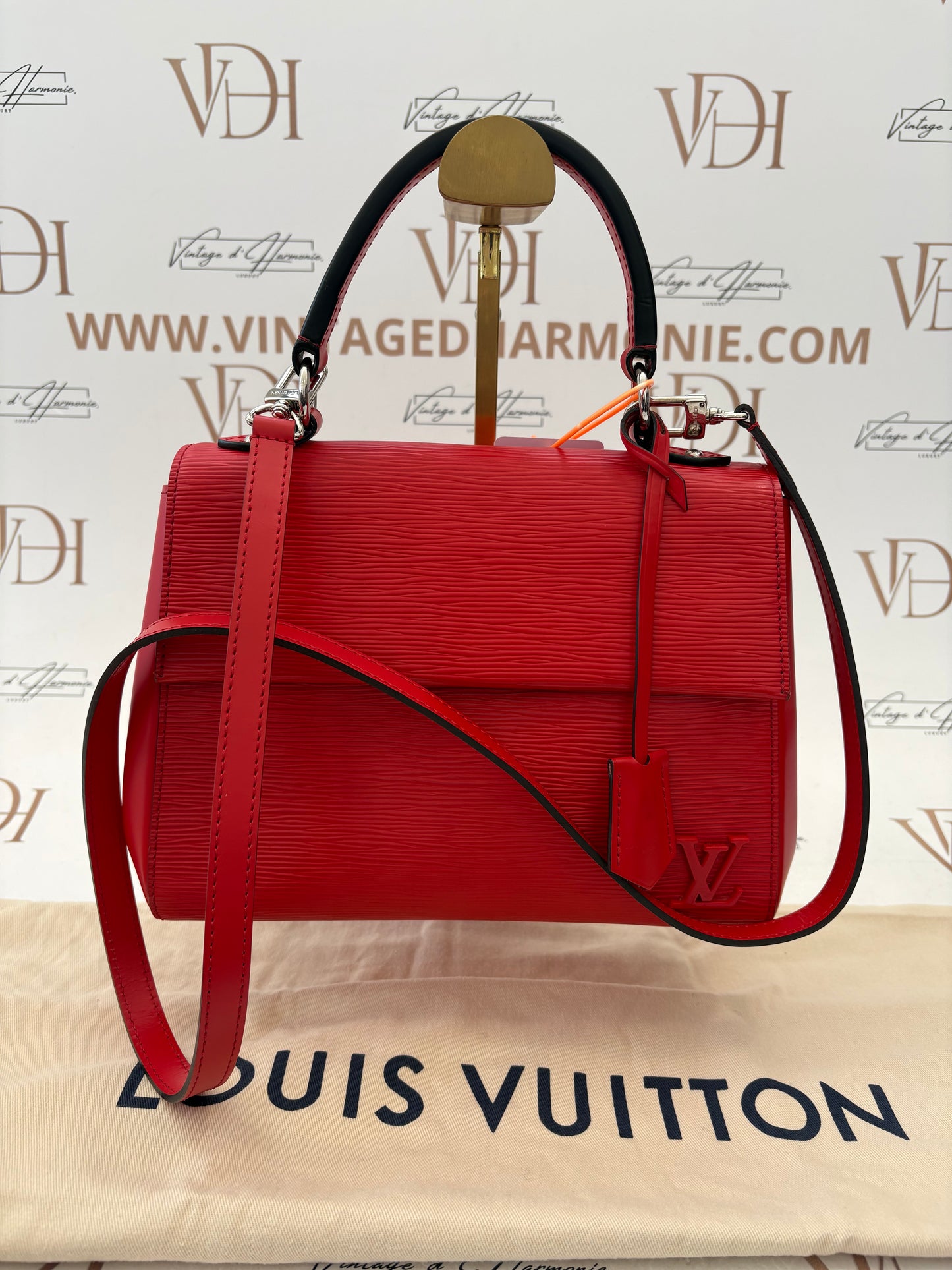 383413 - Louis Vuitton ClunyBB